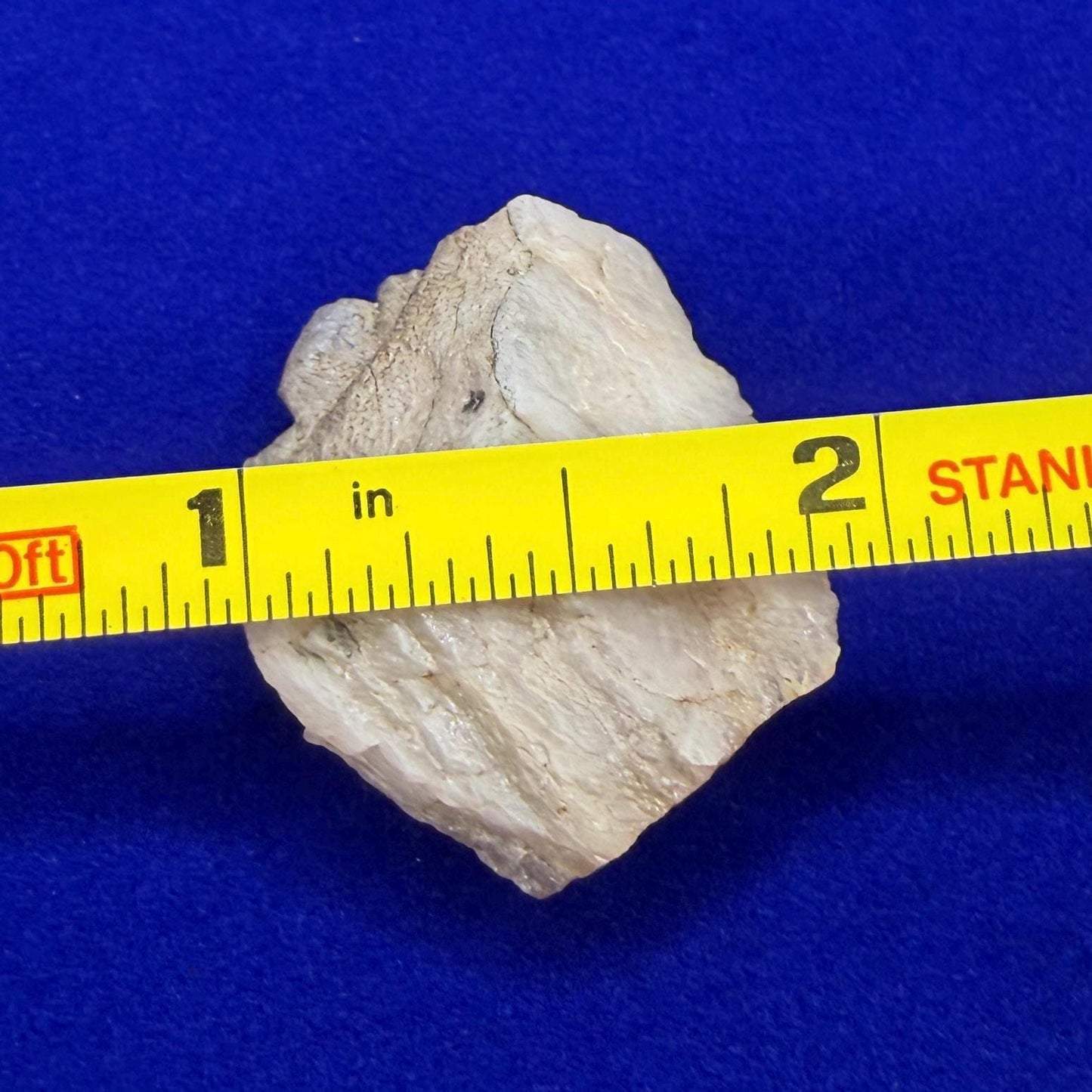 Brazilian Phenacite Crystal: Authentic, Metaphysical Crystal, 12.07g/60.35ct
