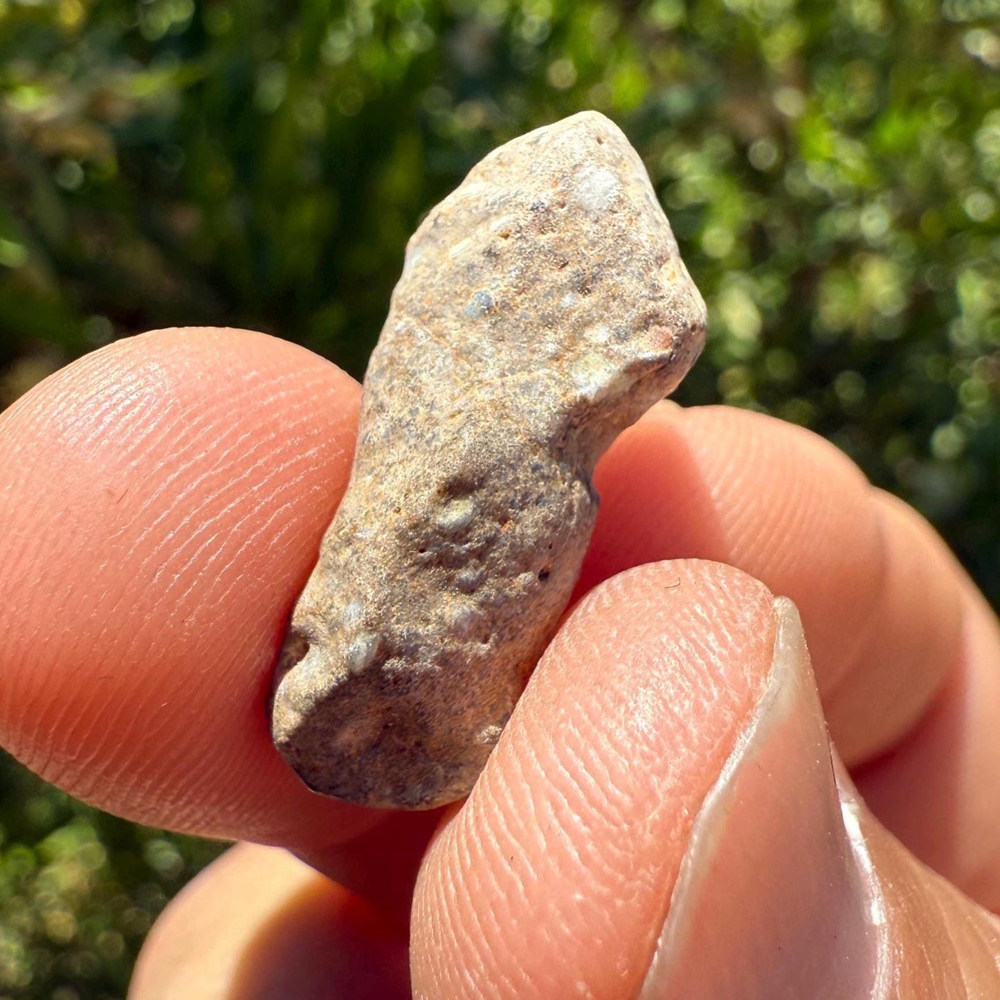 NWA 13974 Lunar Meteorite: Feldspathic Breccia, Authentic Moon Rock, 2.41 grams
