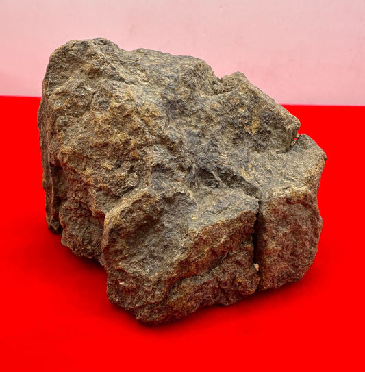 Beautiful Meteorite Al Haggounia 001 Chondrite “Stony Meteorite”, 170 grams, Astronomy Gift, Space Gift, Meteorite Collection, Morocco