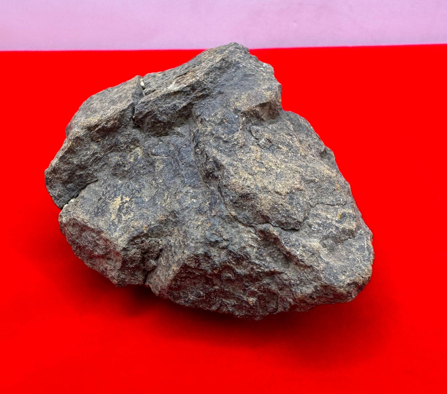 Beautiful Meteorite Al Haggounia 001 Chondrite “Stony Meteorite”, 170 grams, Astronomy Gift, Space Gift, Meteorite Collection, Morocco