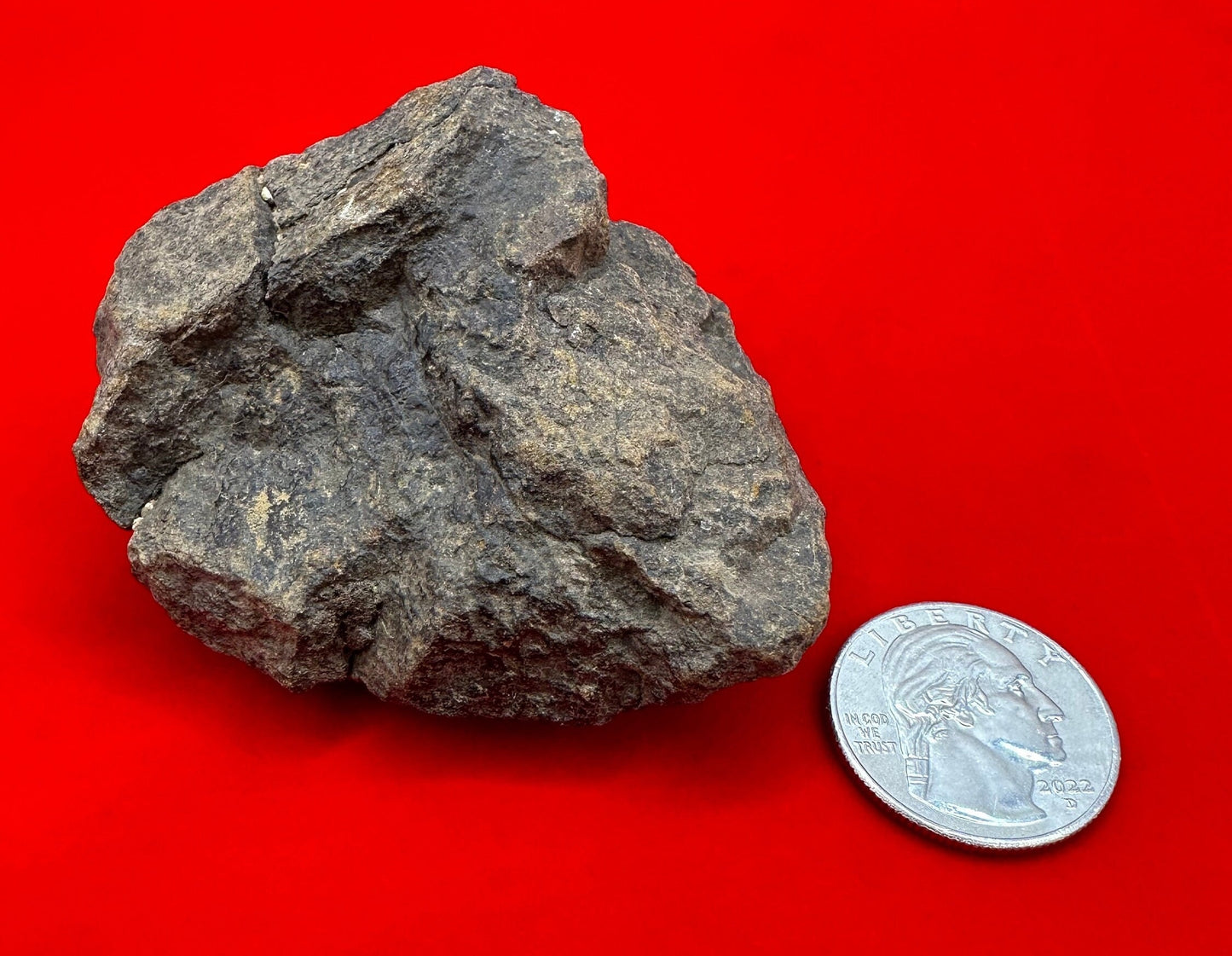 Beautiful Meteorite Al Haggounia 001 Chondrite “Stony Meteorite”, 170 grams, Astronomy Gift, Space Gift, Meteorite Collection, Morocco