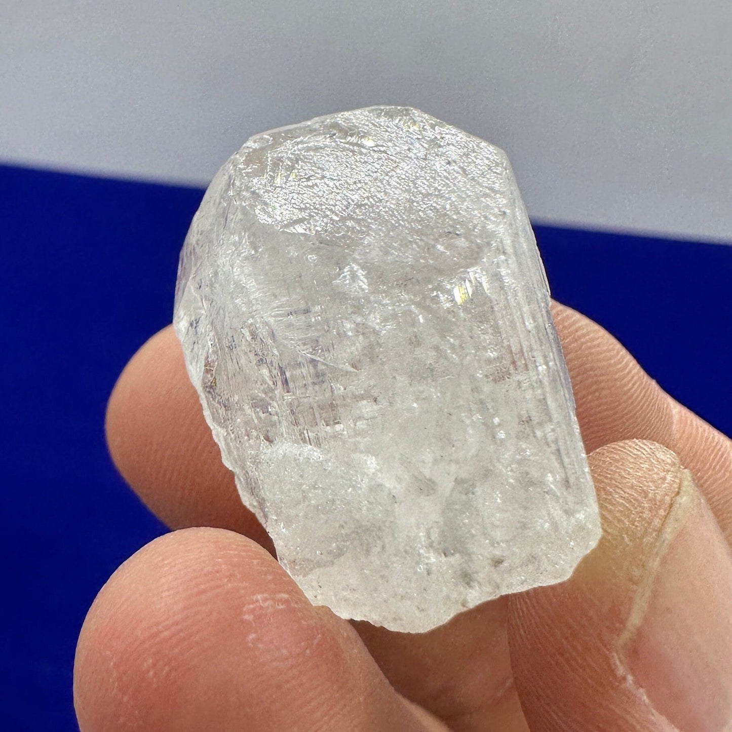 Danburite Crystal, Mexico, Meditation, Reiki, Energy Healing, Synergy Twelve, Crystal Collection, Chakras, Crystals, 22.92 grams