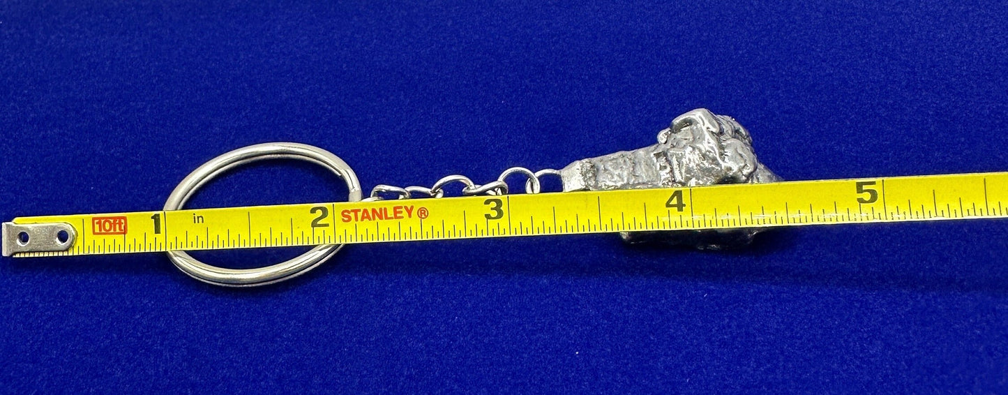 Rare Genuine Aletai Meteorite Keychain, Iron Meteorite, COA, Aletai, Astronomy Gift, Space Gift, Keychain, Space Accessories, 32.64 Grams