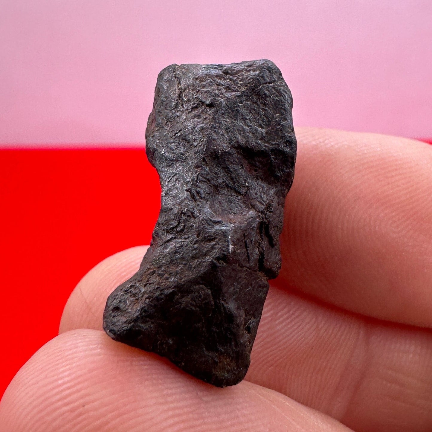 Canyon Diablo Meteorite Specimen, Arizona, 12.65 grams, Rare Meteorite, Iron Meteorite, Astronomy Gift, Space Gift, Energy Work, Meteorite