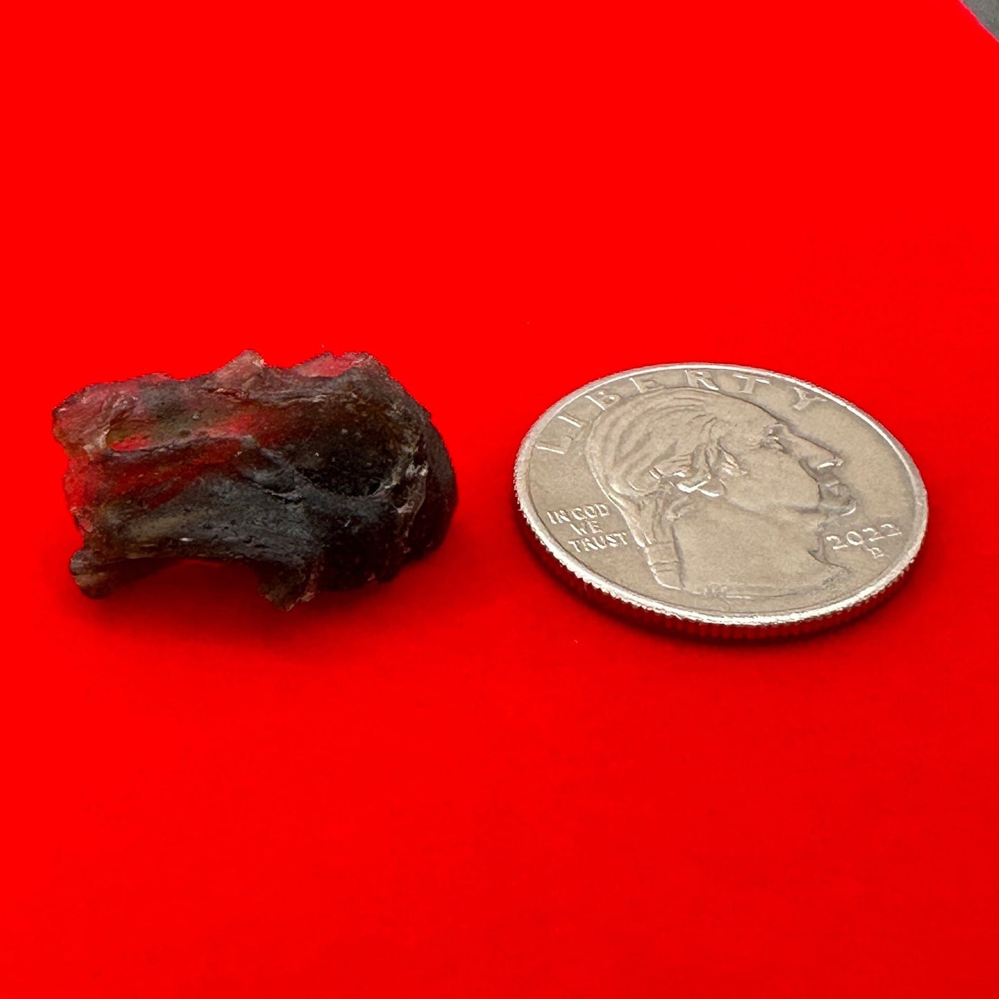 Darwin Glass, Darwinite, Tektite, Grounding, Manifestation Talisman, Tasmania, Astronomy Gift, Tektite Collection, 2.36 grams