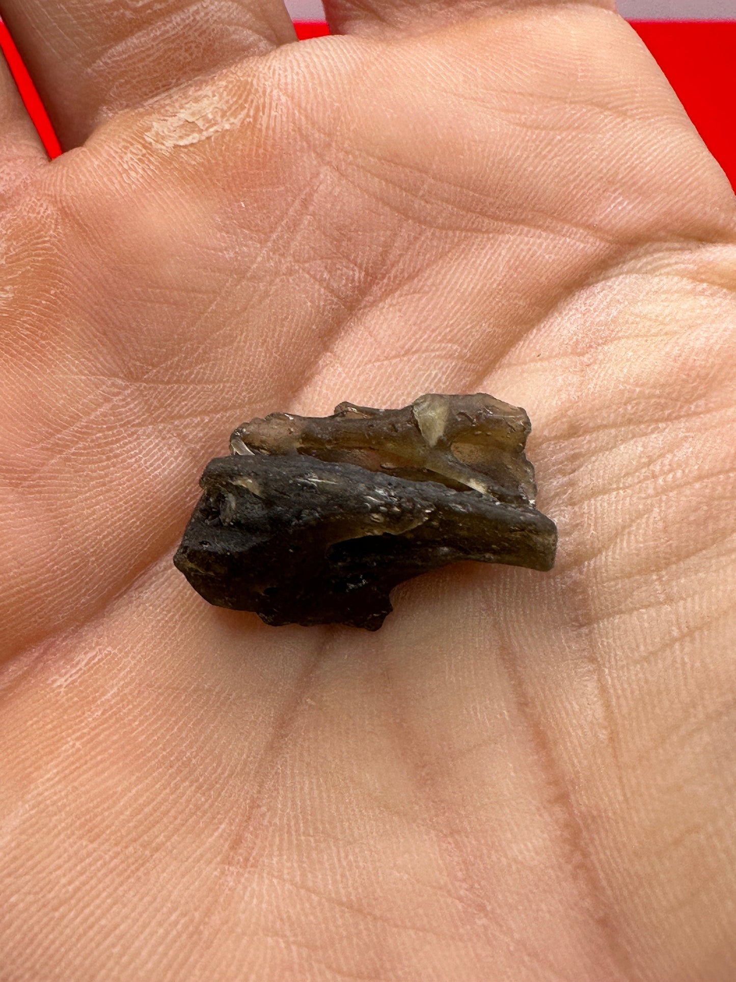 Darwin Glass, Darwinite, Tektite, Grounding, Manifestation Talisman, Tasmania, Astronomy Gift, Tektite Collection, 2.36 grams