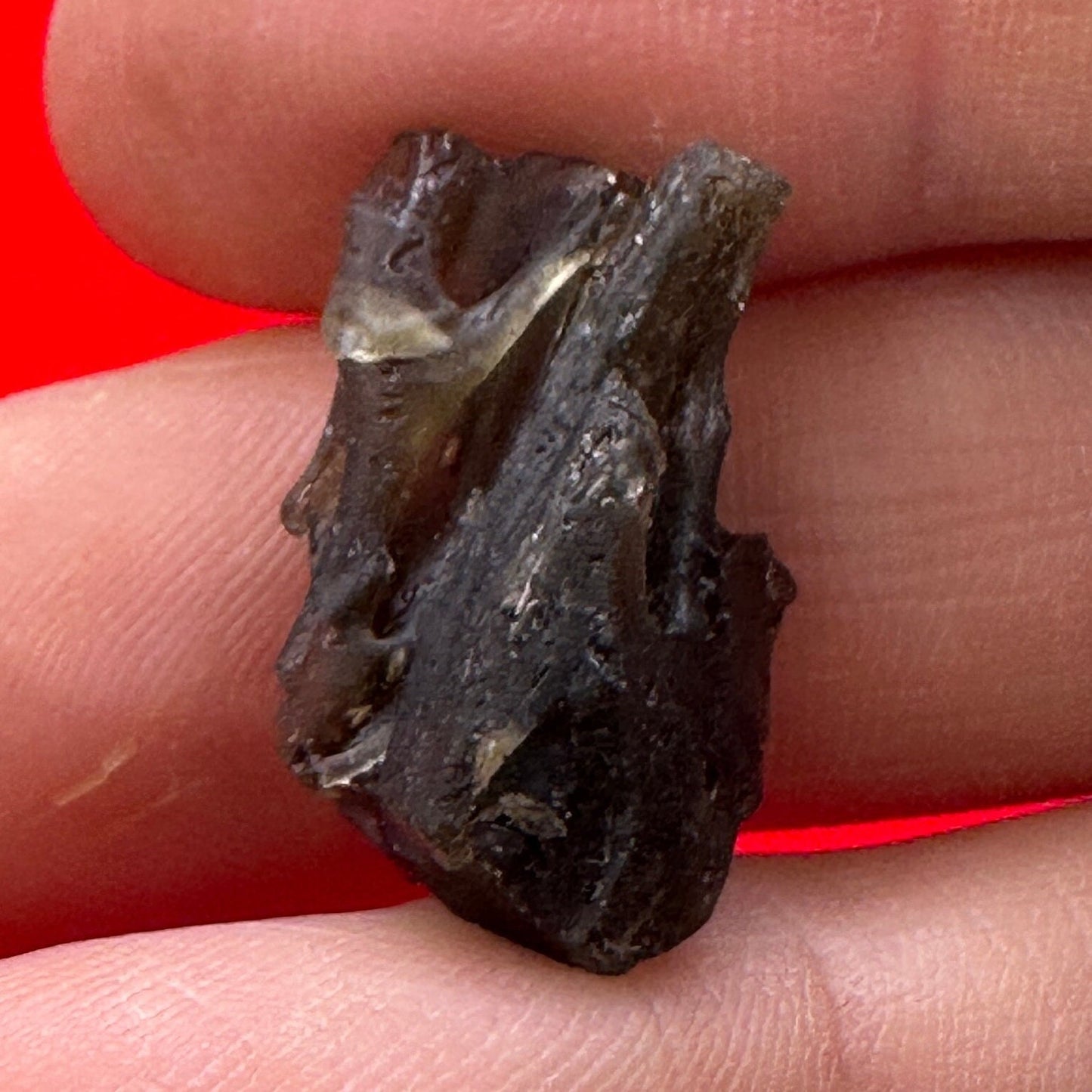 Darwin Glass, Darwinite, Tektite, Grounding, Manifestation Talisman, Tasmania, Astronomy Gift, Tektite Collection, 2.36 grams