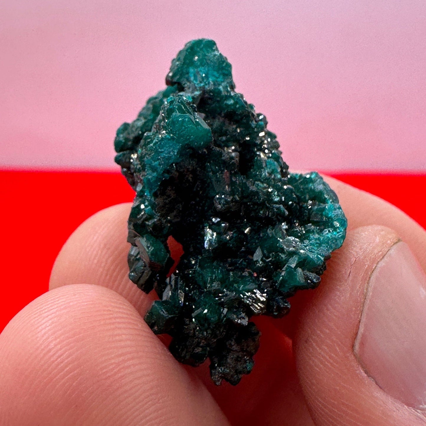 Dioptase, Dioptase Crystal, Deep Emerald Green Color, Authentic, Congo, Reiki, Heart Chakra, Compassion, Financial Abundance, 7.27 grams