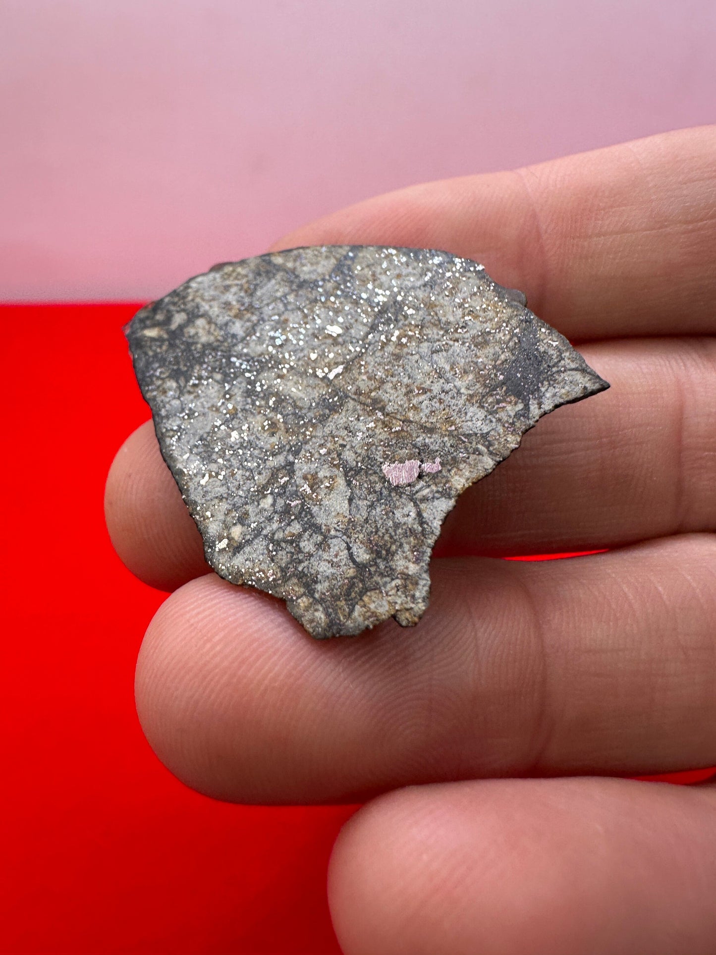 Vinales Meteorite Slice, Vinales, L6 Chondrite, Wintessed Fall, Chondrules, Meteorite Collection, Chondrite, Astronomy Gift, 6.86 grams