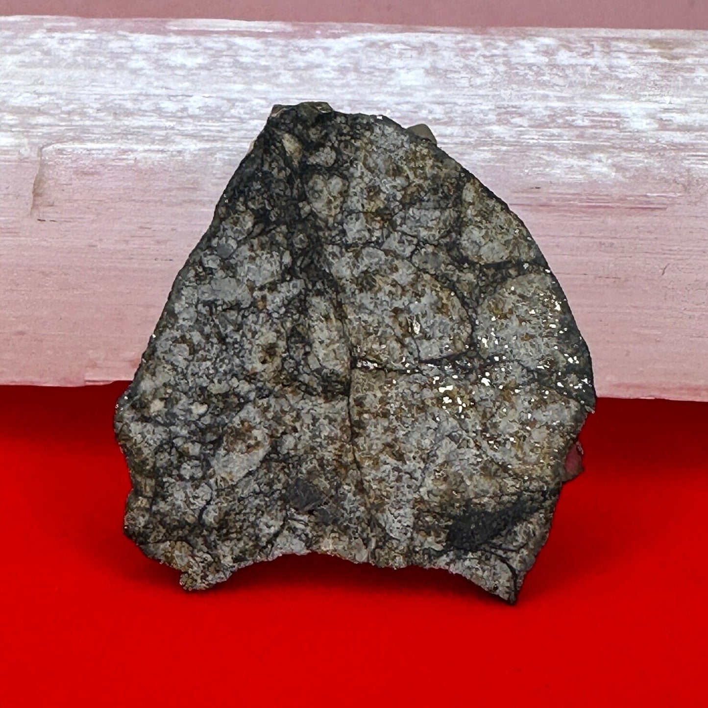 Vinales Meteorite Slice, Vinales, L6 Chondrite, Wintessed Fall, Chondrules, Meteorite Collection, Chondrite, Astronomy Gift, 6.86 grams