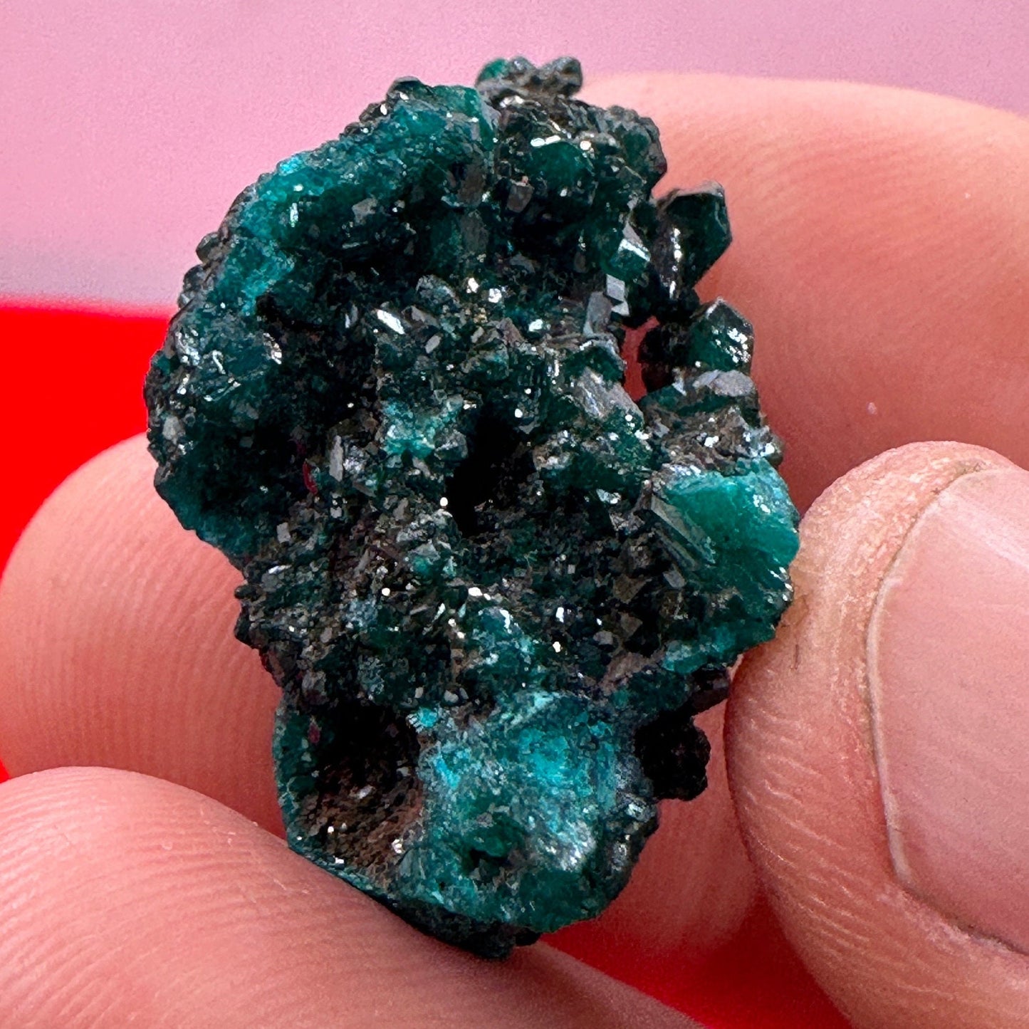 Dioptase, Dioptase Crystal, Deep Emerald Green Color, Authentic, Congo, Reiki, Heart Chakra, Compassion, Financial Abundance, 7.27 grams