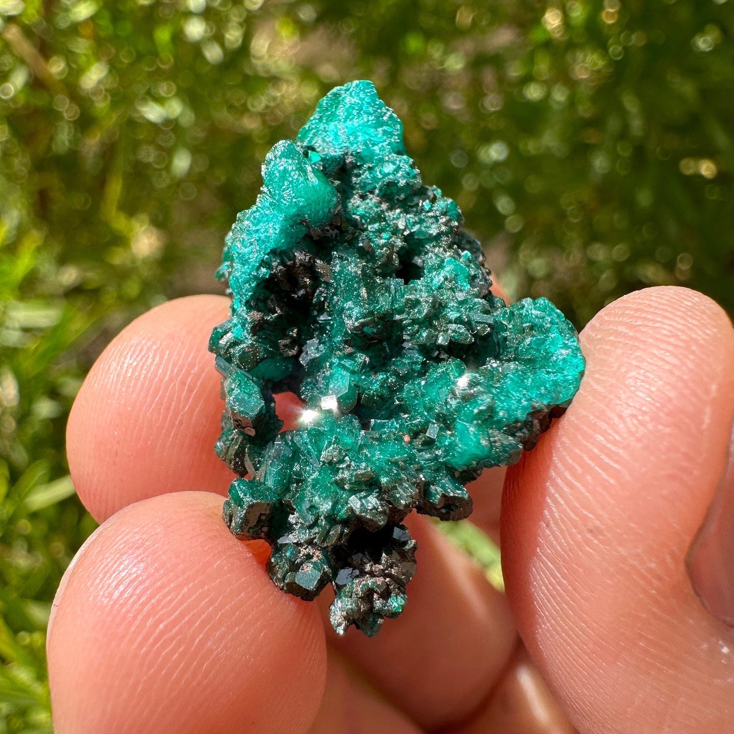 Dioptase, Dioptase Crystal, Deep Emerald Green Color, Authentic, Congo, Reiki, Heart Chakra, Compassion, Financial Abundance, 7.27 grams