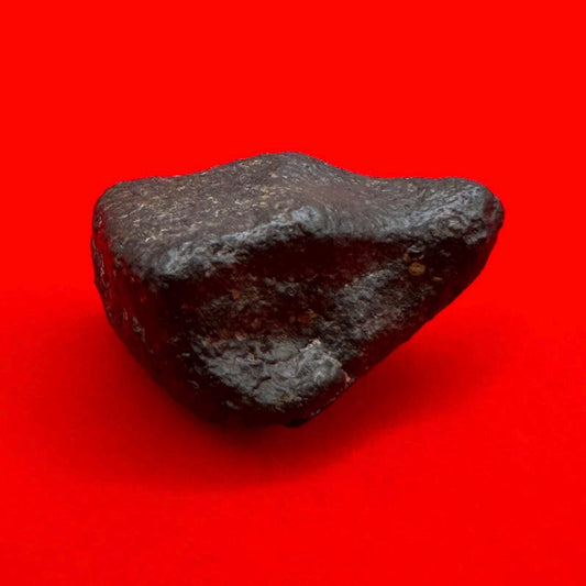 Meteorite NWA 869 Chondrite “Stony Meteorite”, 16.01 grams, Authentic Meteorite, Authentic Meteorite, COA, Astronomy Gift, Space Gift