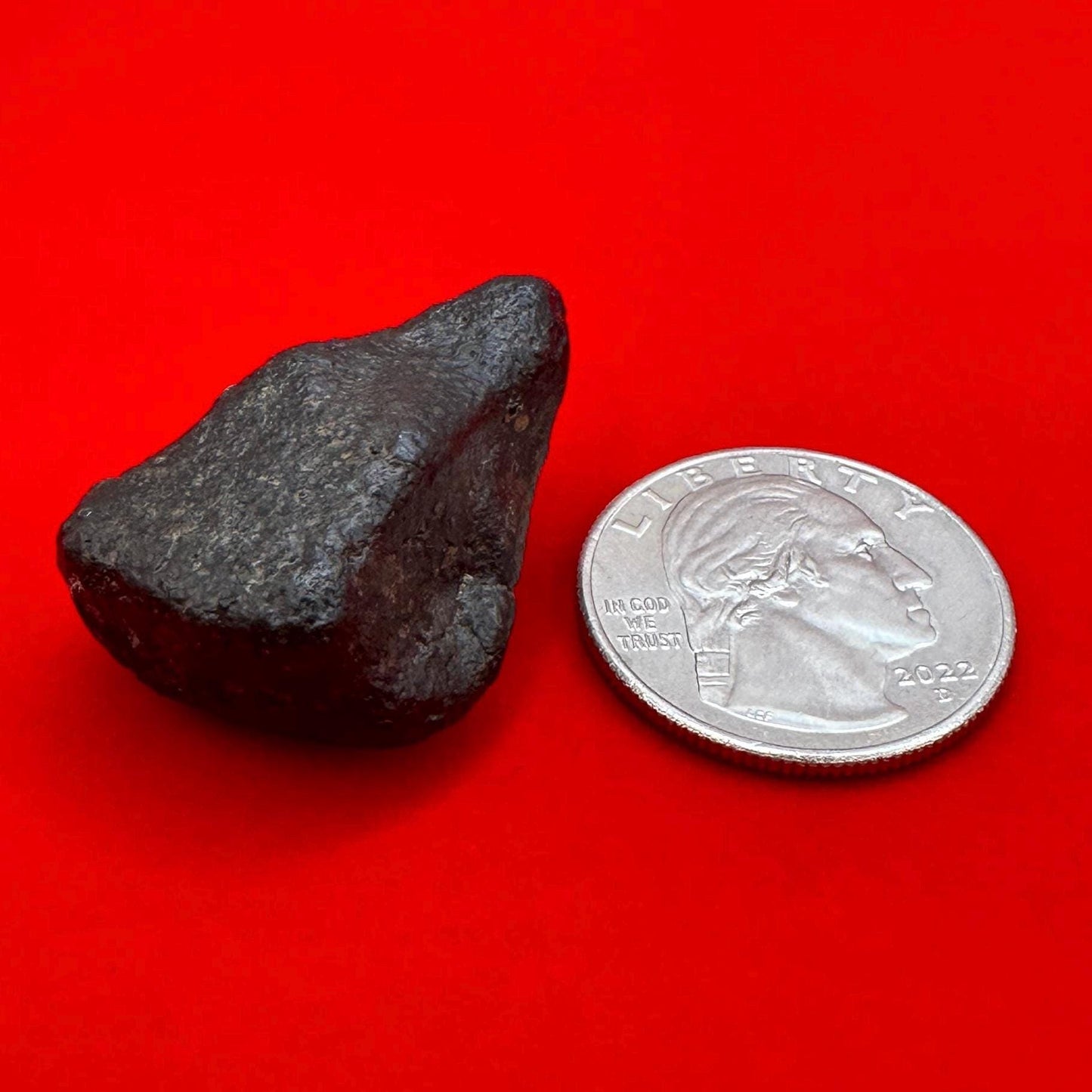 Meteorite NWA 869 Chondrite “Stony Meteorite”, 16.01 grams, Authentic Meteorite, Authentic Meteorite, COA, Astronomy Gift, Space Gift