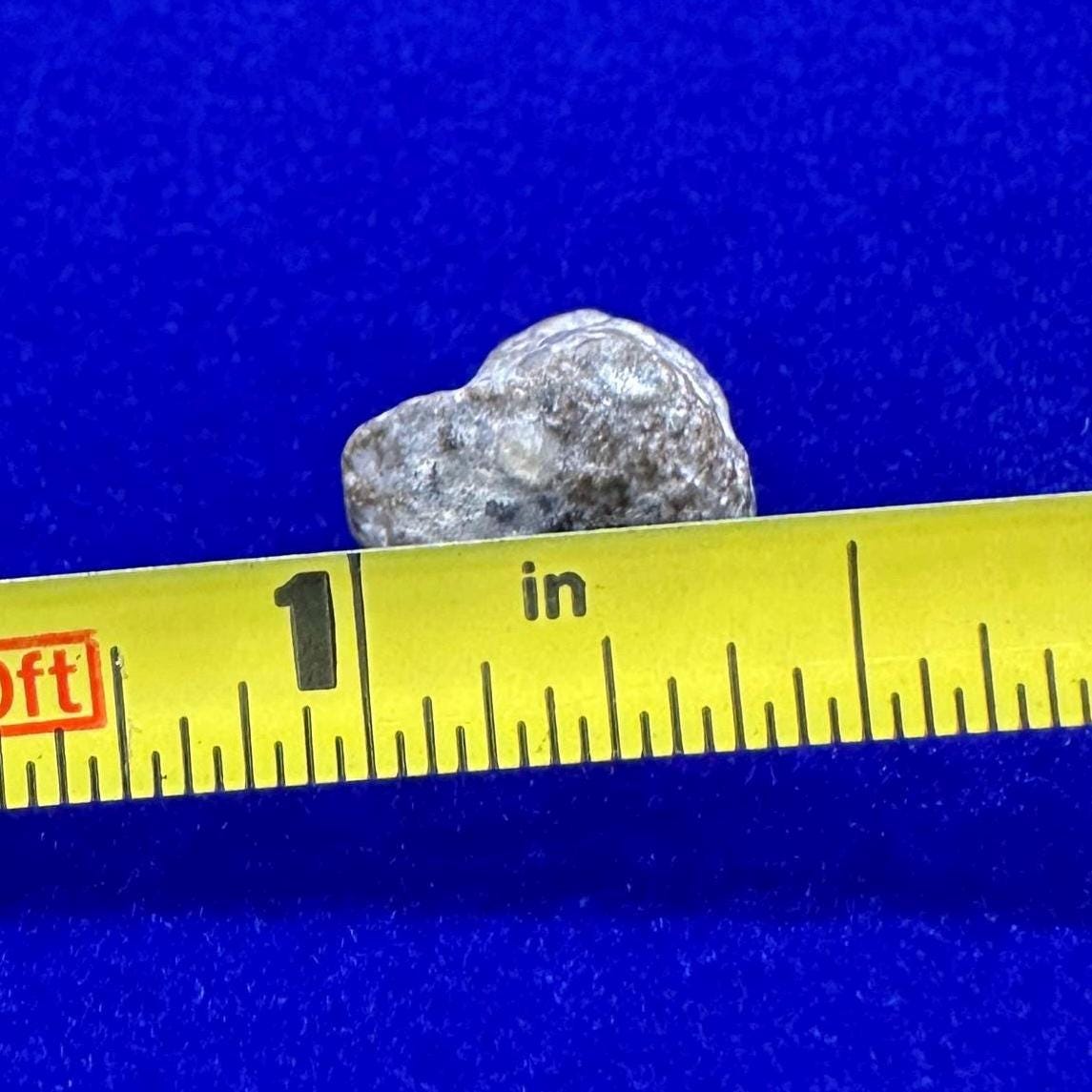 NWA 13974 Moon|Lunar Meteorite, Feldspathic Breccia, Moon Meteorite, Meteorite Collection, Lunar Feldspathic Breccia, 1.38 grams