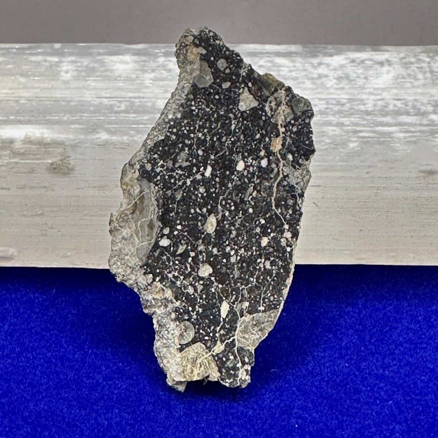 NWA 15583 Moon|Lunar Meteorite Slice, Feldspathic Breccia, Moon Meteorite, Meteorite Collection,Lunar Feldspathic Breccia, 5.25 grams