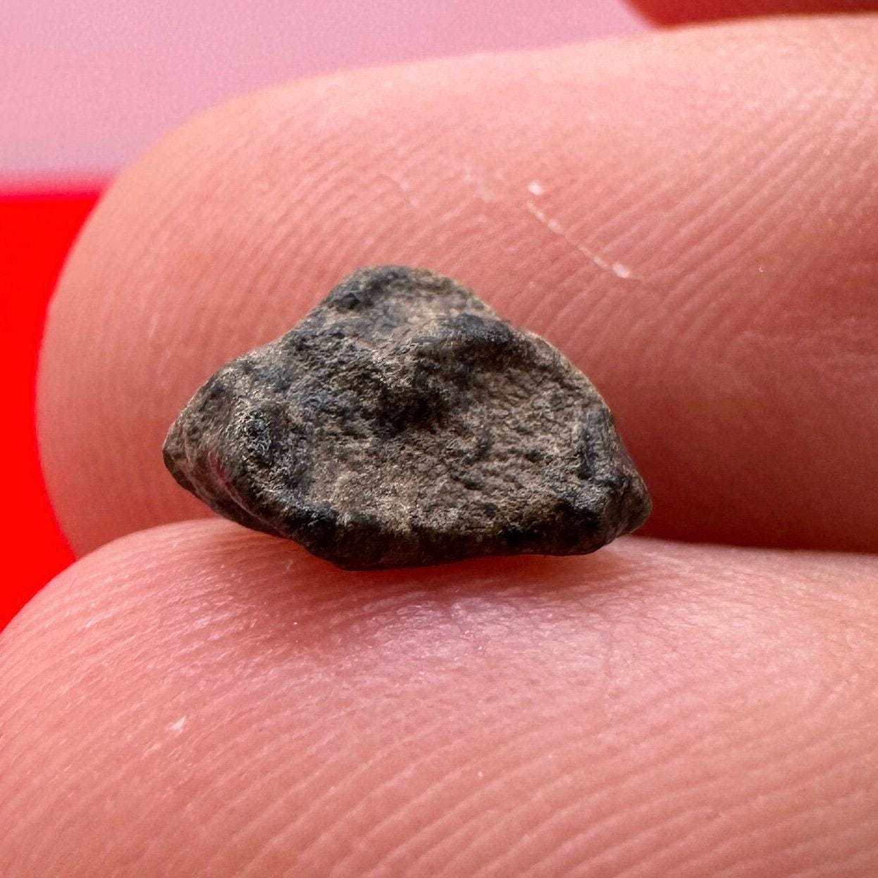 Mars Meteorite, Amgala Mars Meteorite, Mars Meteorite Display, Mars Rock, Authentic Meteorite, Mars, COA, Astronomy Gift, Space Gift, 8.0 oz