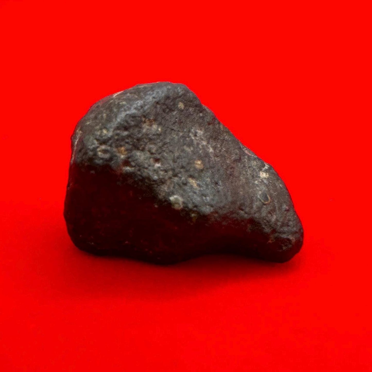 Meteorite NWA 869 Chondrite “Stony Meteorite”, 16.01 grams, Authentic Meteorite, Authentic Meteorite, COA, Astronomy Gift, Space Gift