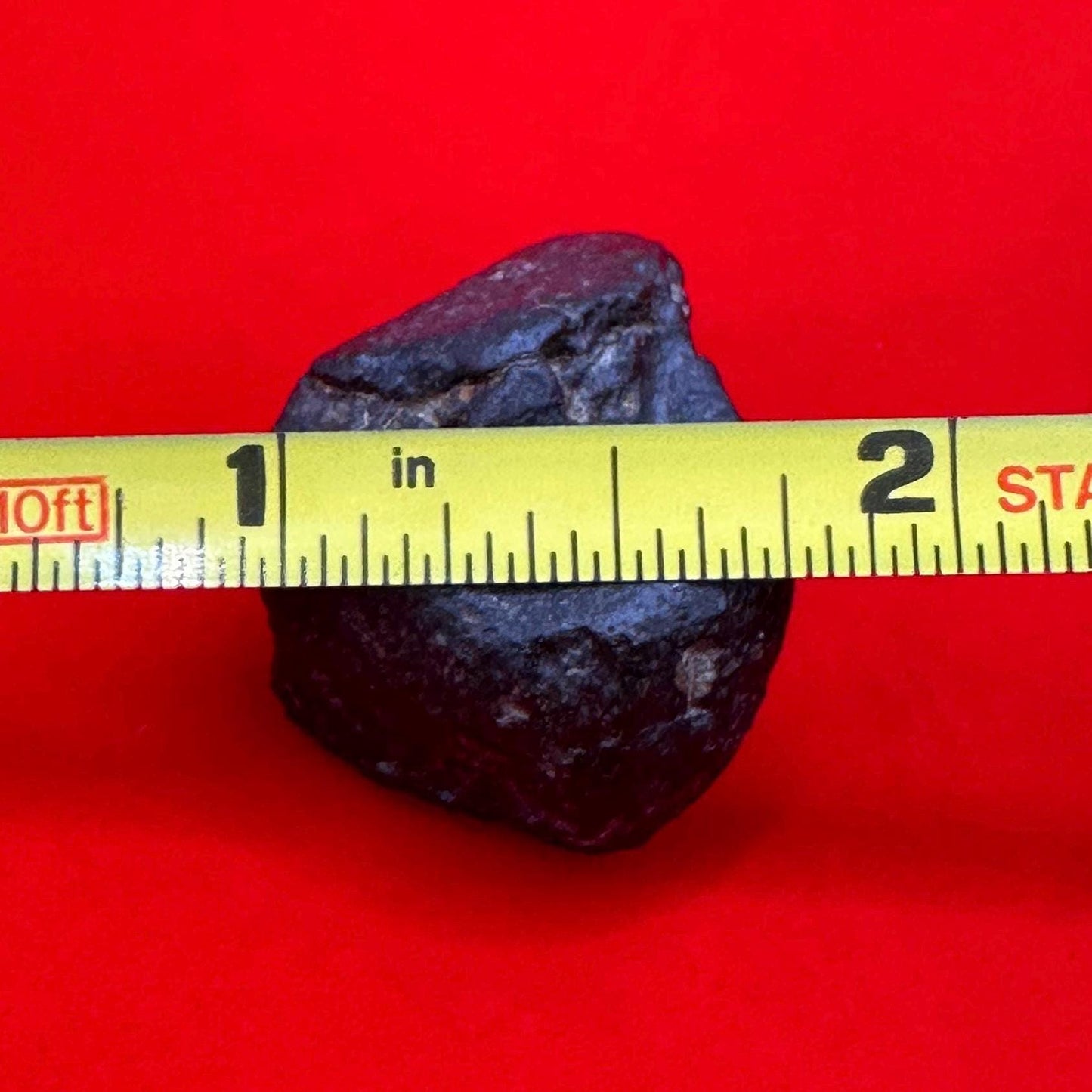 Meteorite NWA 869 Chondrite “Stony Meteorite”, 16.01 grams, Authentic Meteorite, Authentic Meteorite, COA, Astronomy Gift, Space Gift