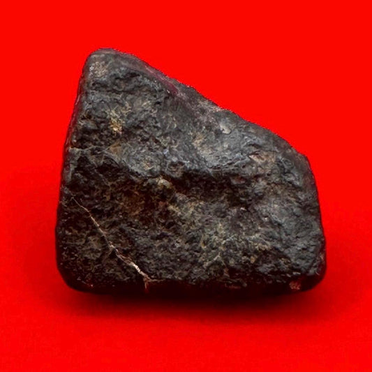 Meteorite NWA 869 Chondrite Stony Meteorite, 10.36 grams, Authentic Meteorite, Authentic Meteorite, COA, Astronomy Gift, Space Gift