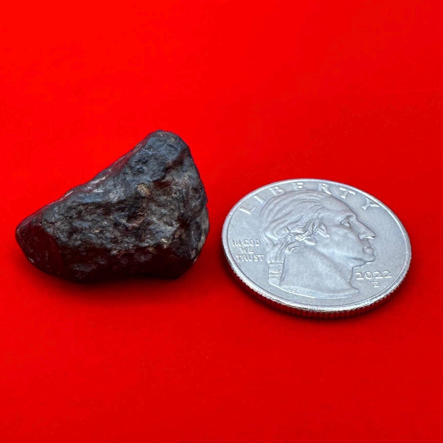 Meteorite NWA 869 Chondrite Stony Meteorite, 10.36 grams, Authentic Meteorite, Authentic Meteorite, COA, Astronomy Gift, Space Gift