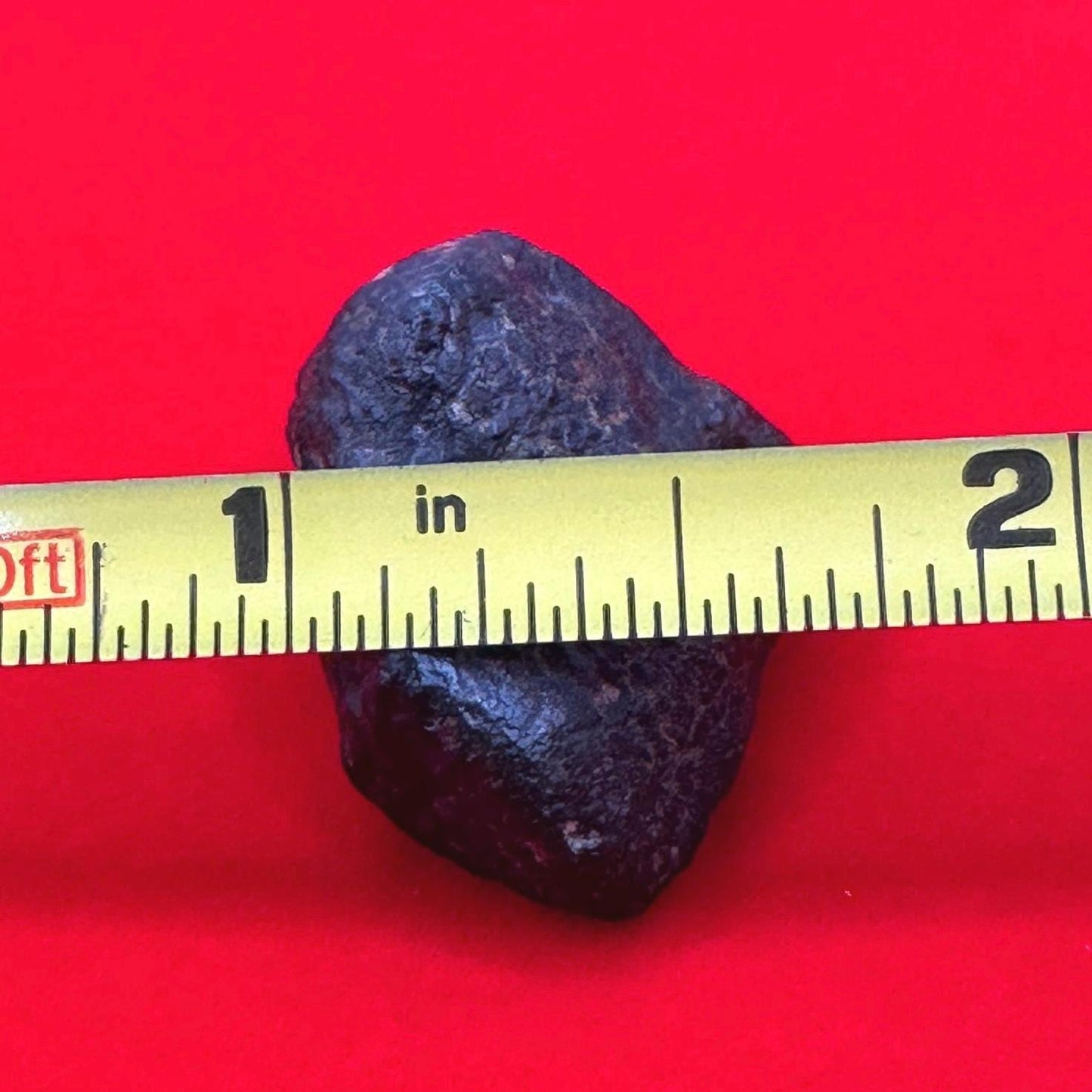 Meteorite NWA 869 Chondrite Stony Meteorite, 10.36 grams, Authentic Meteorite, Authentic Meteorite, COA, Astronomy Gift, Space Gift