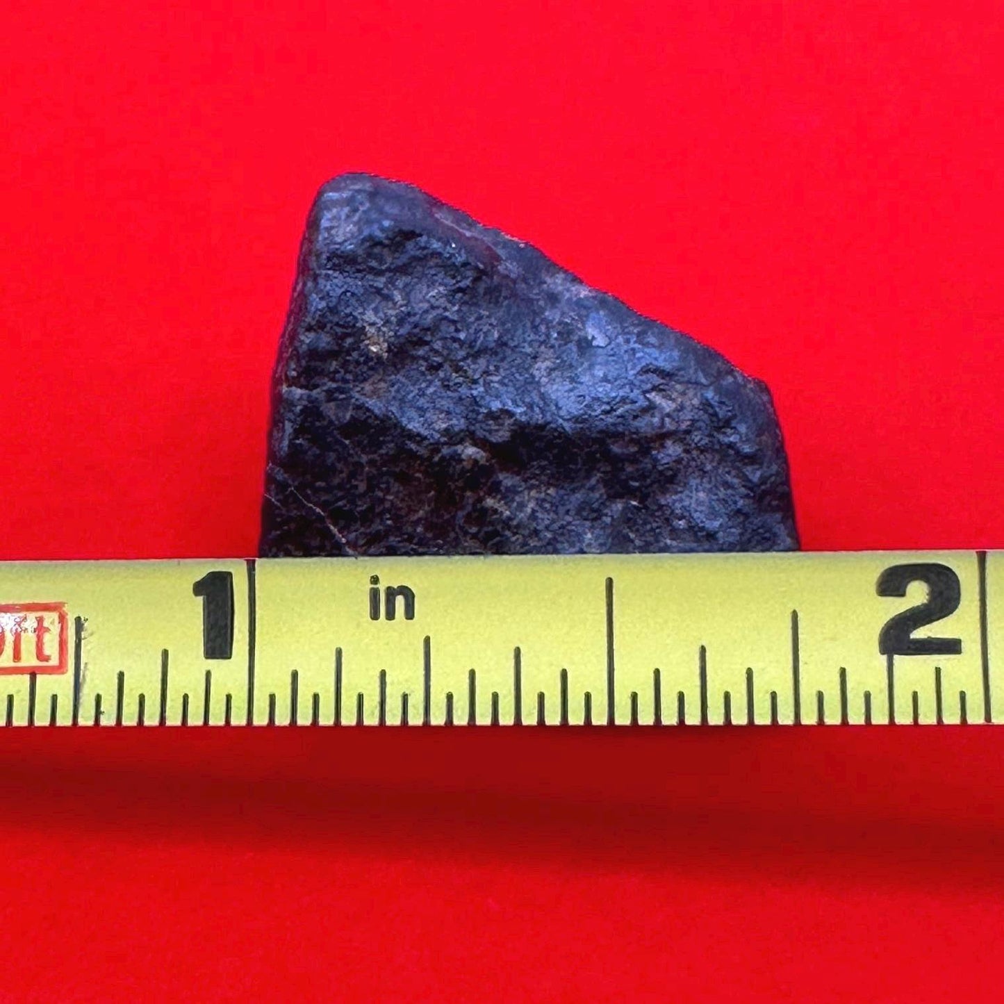 Meteorite NWA 869 Chondrite Stony Meteorite, 10.36 grams, Authentic Meteorite, Authentic Meteorite, COA, Astronomy Gift, Space Gift