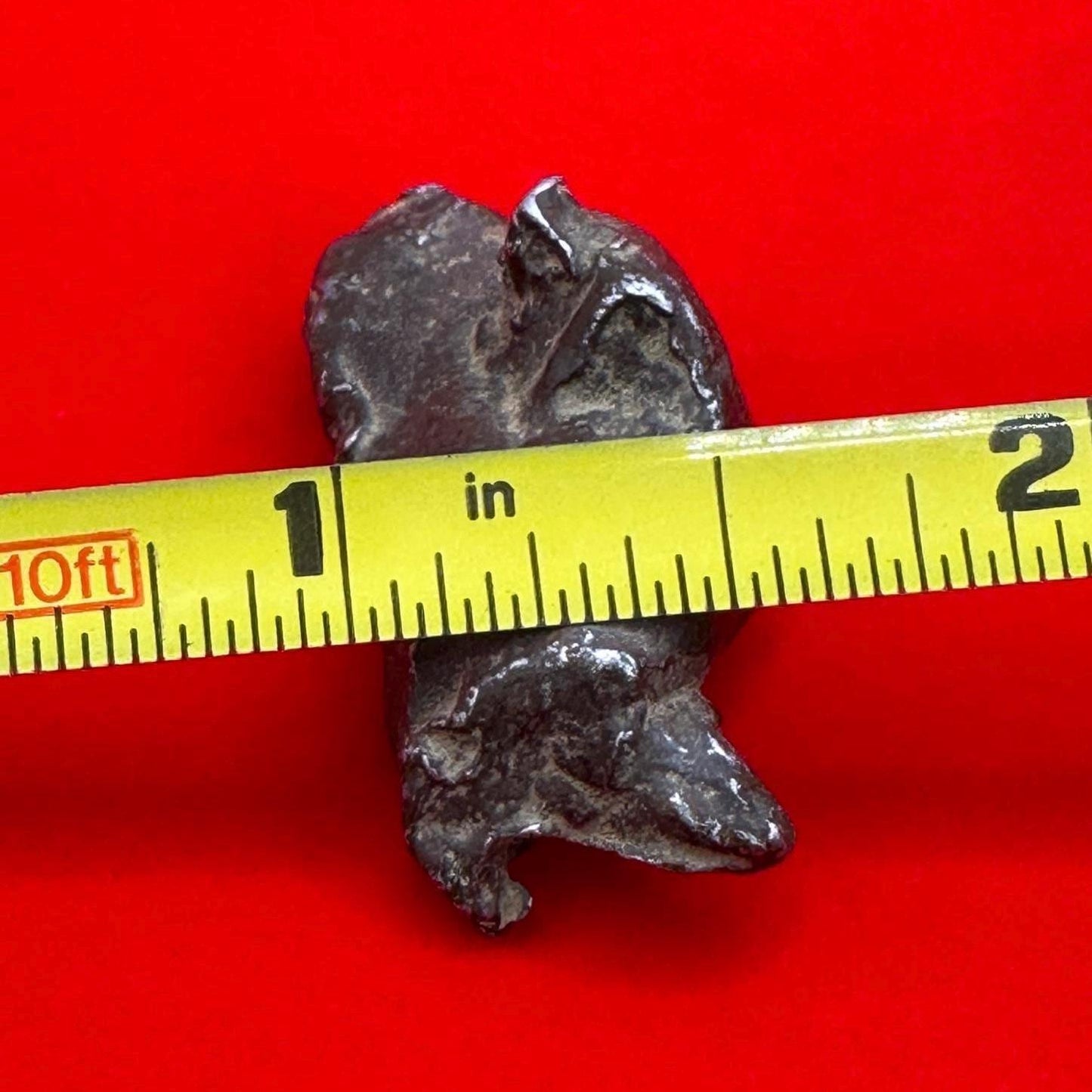 Unique Iron Meteorite Specimen Gebel Kamil, 22.93 grams, Astronomy Gift, Space Gift, Iron Meteorite, Egypt, Meteorite Collection, Space