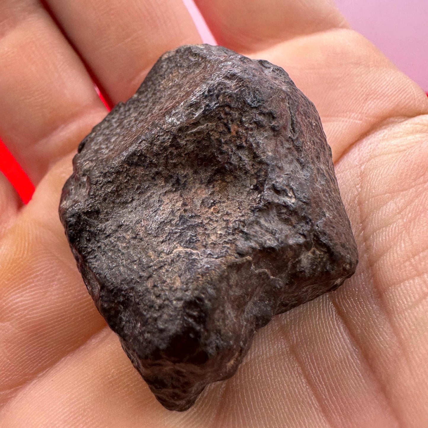 Meteorite NWA 869 Chondrite Stony Meteorite, 53.83 grams, Authentic Meteorite, Authentic Meteorite, COA, Astronomy Gift, Space Gift