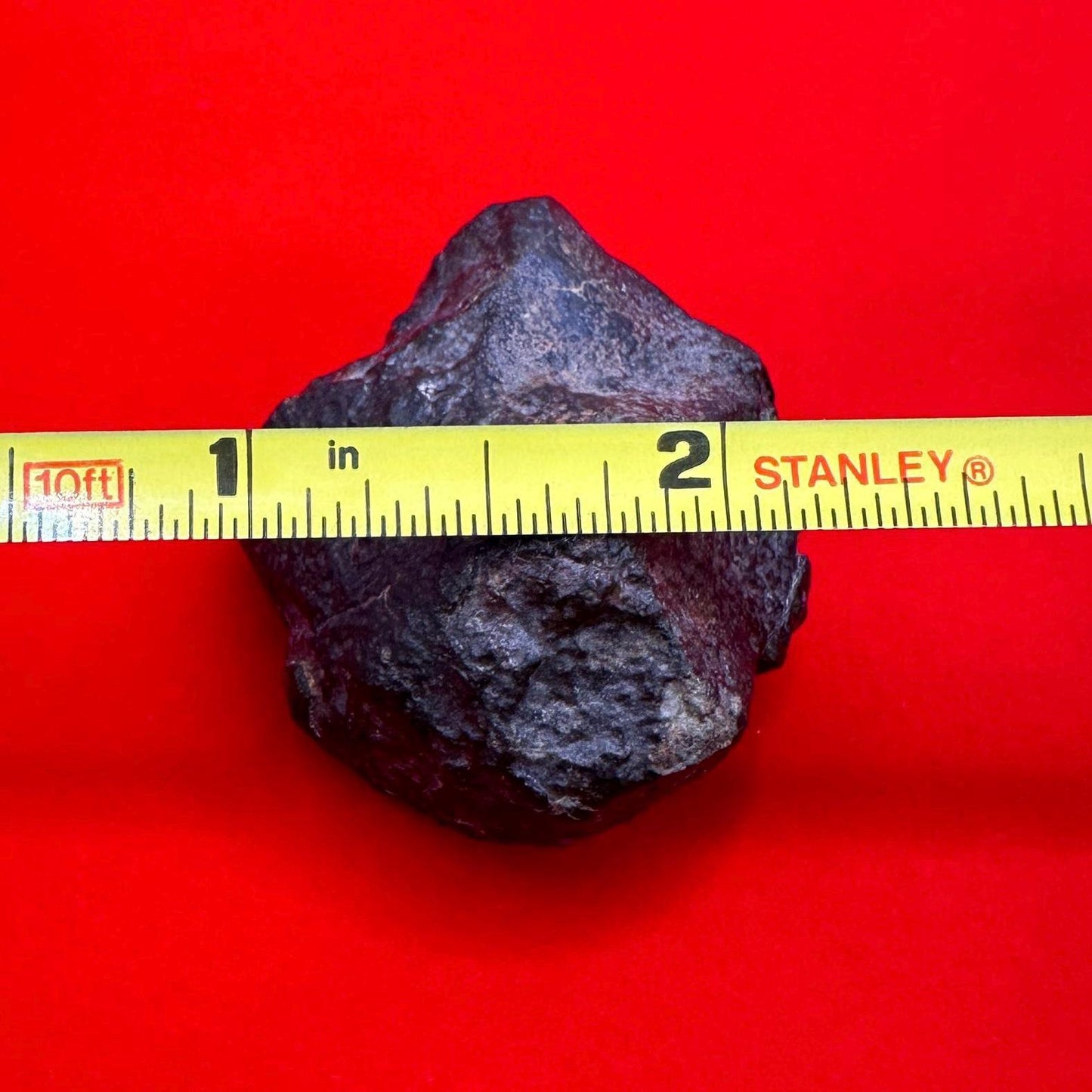 Meteorite NWA 869 Chondrite Stony Meteorite, 53.83 grams, Authentic Meteorite, Authentic Meteorite, COA, Astronomy Gift, Space Gift