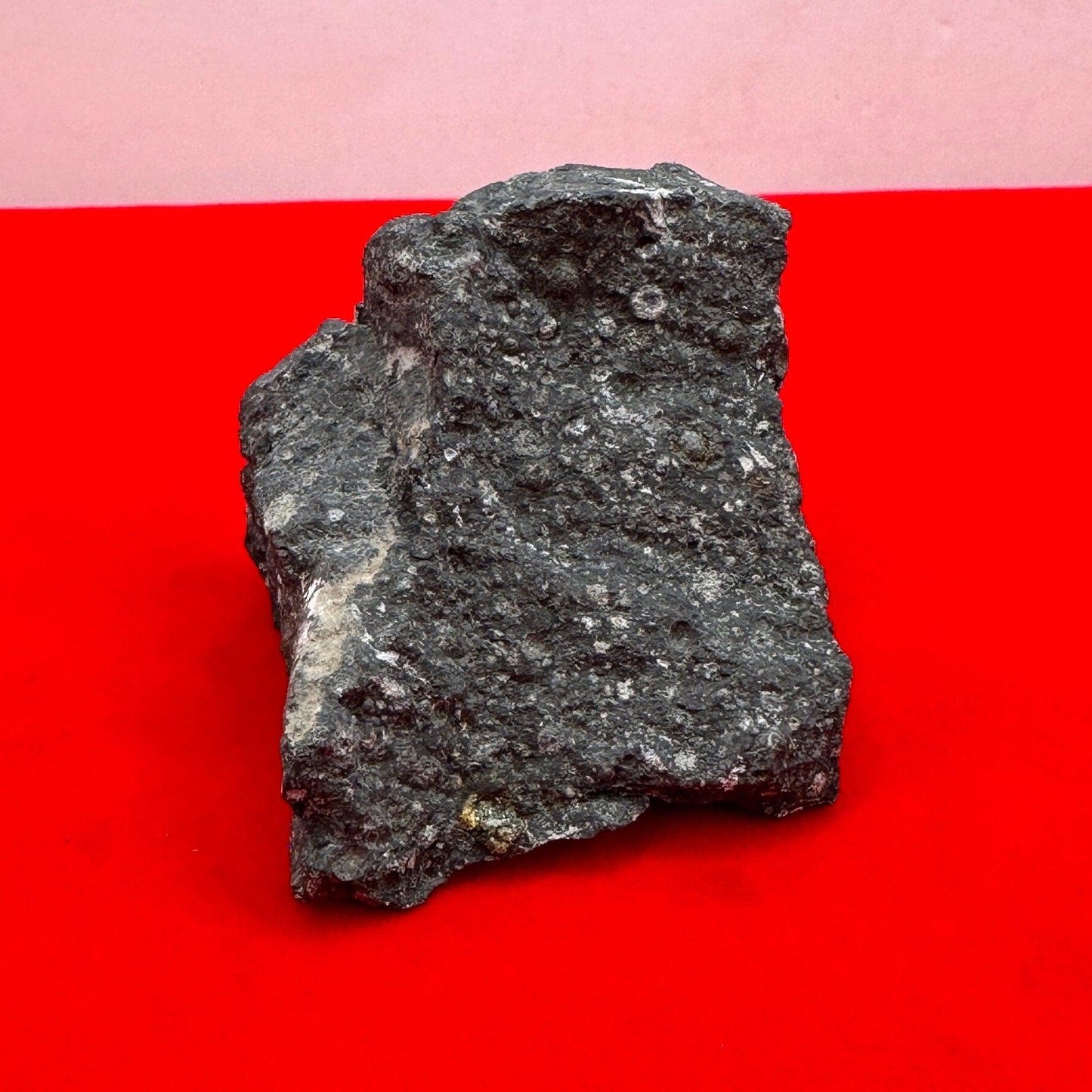 Allende Carbonaceous Chondrite, CV3, 48.38 grams, Authentic Meteorite, Allende, Authentic Meteorite, COA, Astronomy Gift, Space Gift