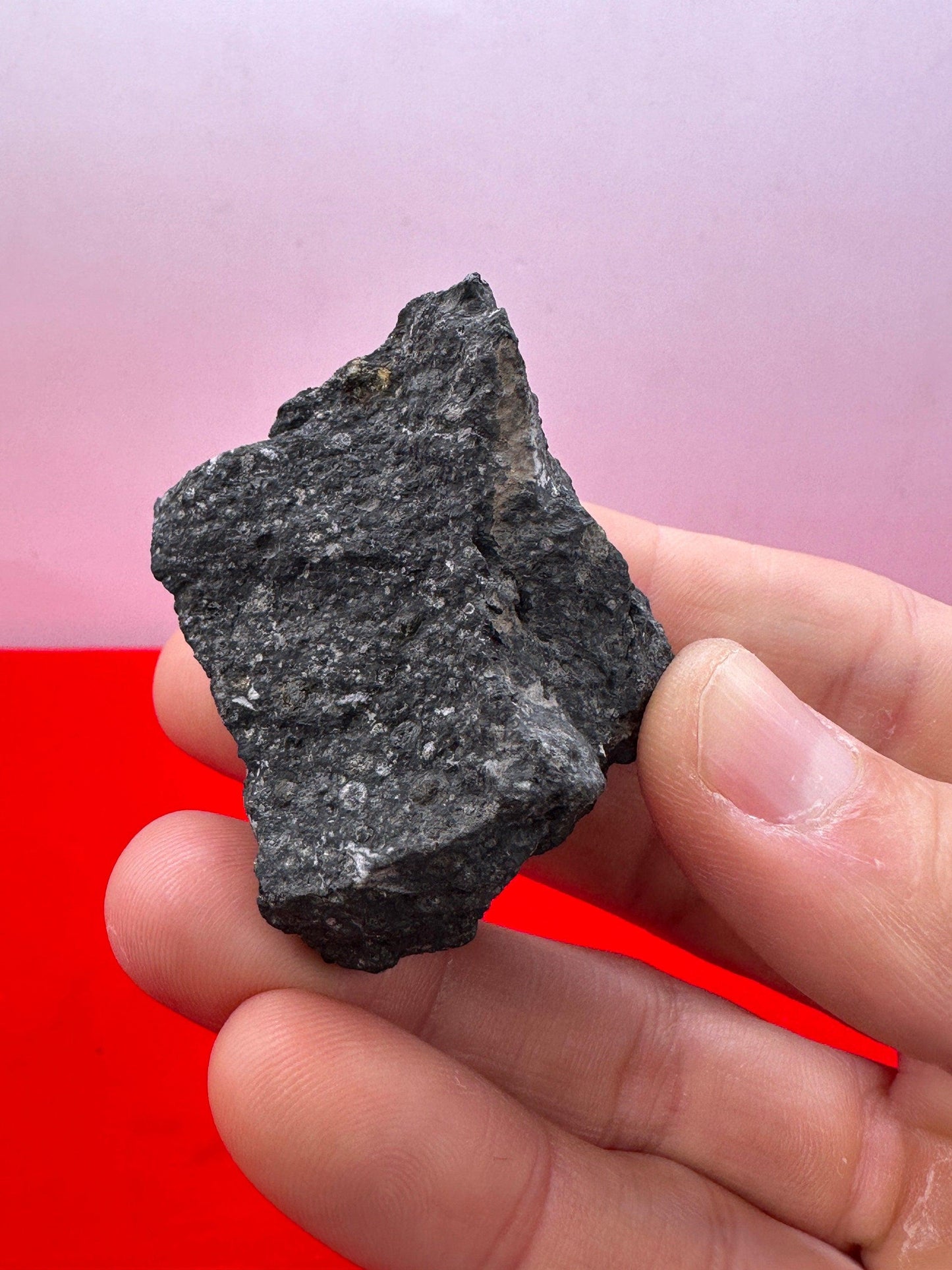 Allende Carbonaceous Chondrite, CV3, 48.38 grams, Authentic Meteorite, Allende, Authentic Meteorite, COA, Astronomy Gift, Space Gift