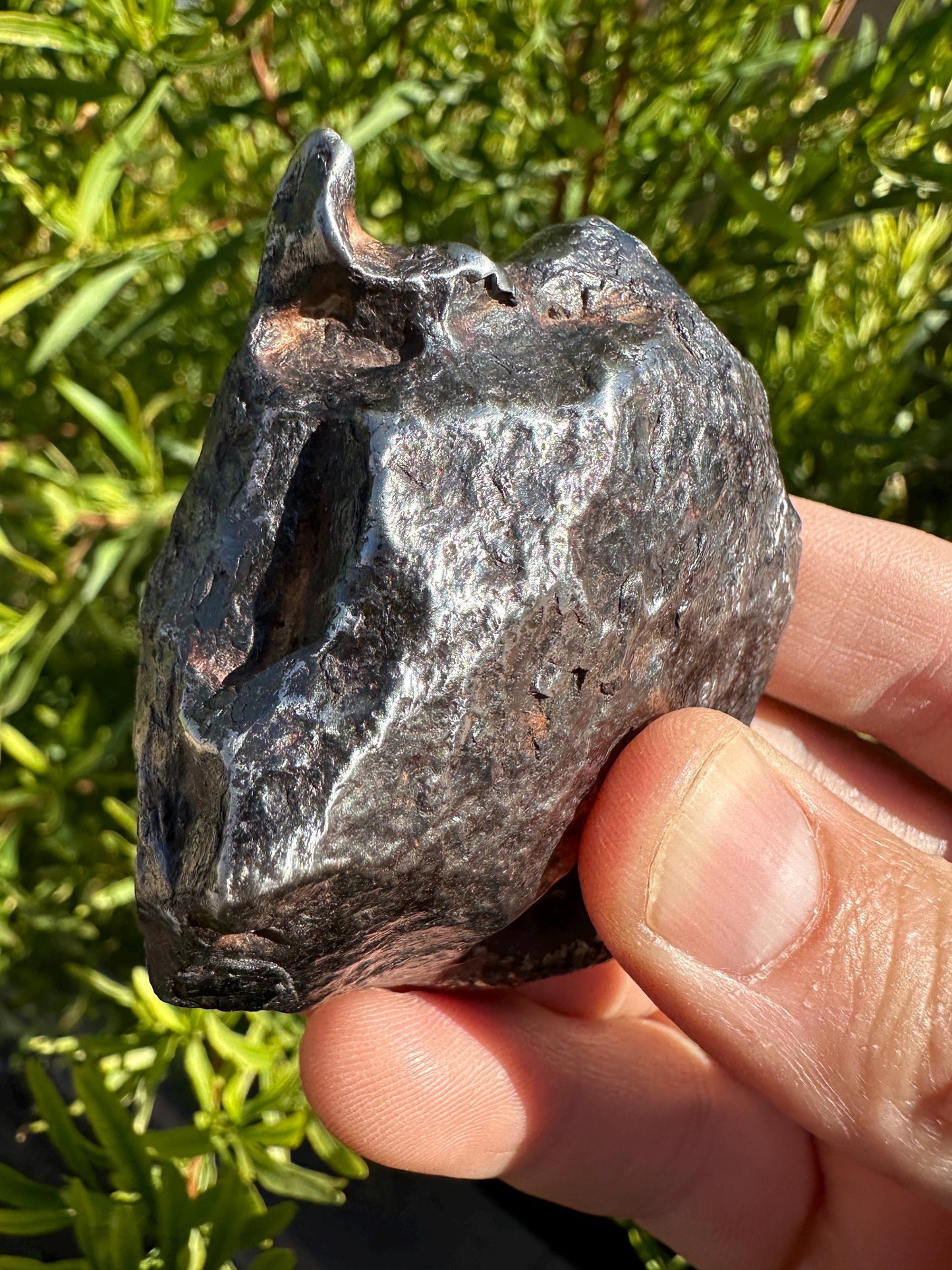 Canyon Diablo Meteorite Specimen, Arizona, 332.25 grams, Rare Meteorite, Iron Meteorite, Astronomy Gift, Space Gift, With COA, Meteorite