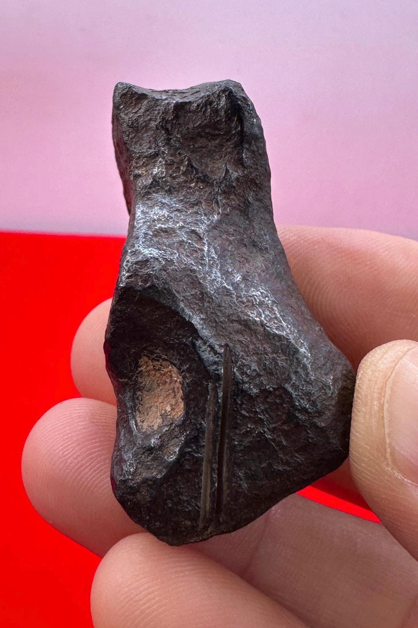 Unique Iron Meteorite Mundrabilla, 89.55 grams, Astronomy Gift, Space Gift, Iron Meteorite, Australia, Meteorite Collection, Space, COA