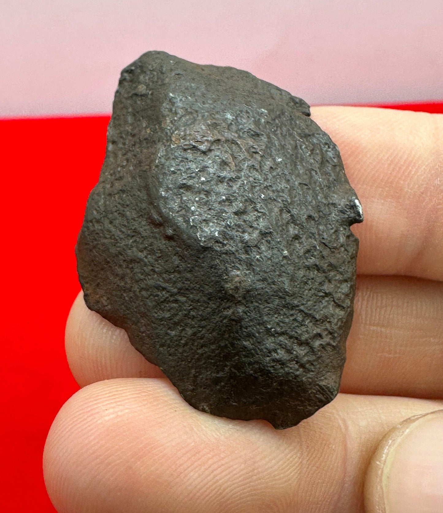 Unique Iron Meteorite Specimen Gebel Kamil, 29.26 grams, Astronomy Gift, Space Gift, Iron Meteorite, Egypt, Meteorite Collection, COA