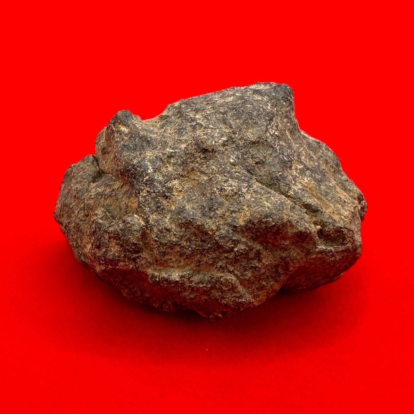 Beautiful Meteorite Al Haggounia 001 Chondrite Stony Meteorite, 32.66 grams, Astronomy Gift, Space Gift, Meteorite Collection, Morocco