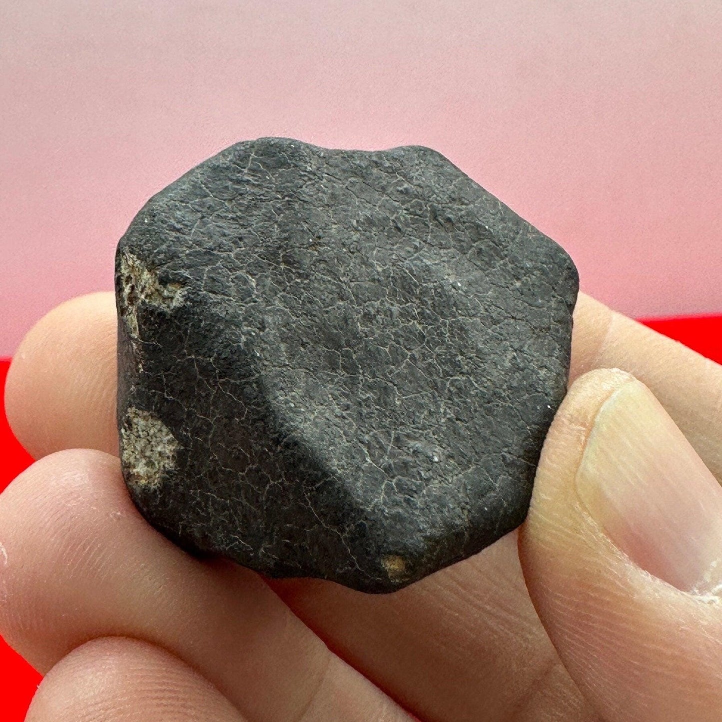 Beautiful Meteorite Hammad Al Hamdra (HaH) Chondrite Meteorite, Stony Meteorite, 38.71 grams, Authentic Meteorite,Astronomy Gift, Space Gift