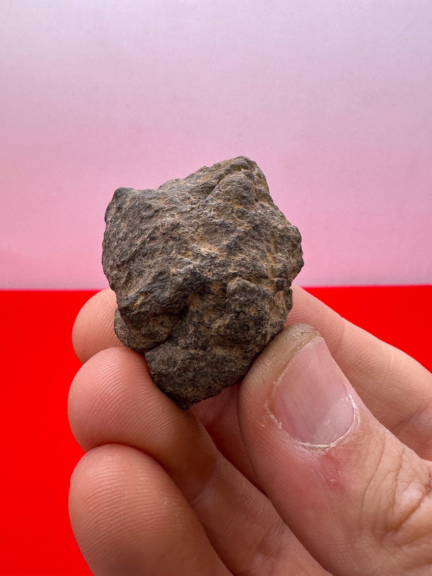 Beautiful Meteorite Al Haggounia 001 Chondrite Stony Meteorite, 32.66 grams, Astronomy Gift, Space Gift, Meteorite Collection, Morocco