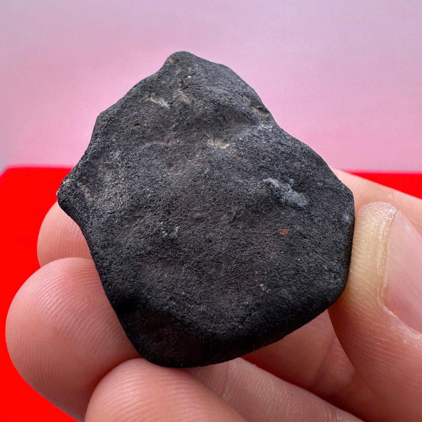 Beautiful Meteorite Vinales Chondrite, L6 Stony Meteorite, Witnessed Fall, 2019, Authentic Meteorite, Astronomy Gift, Space Gift, 34.98g