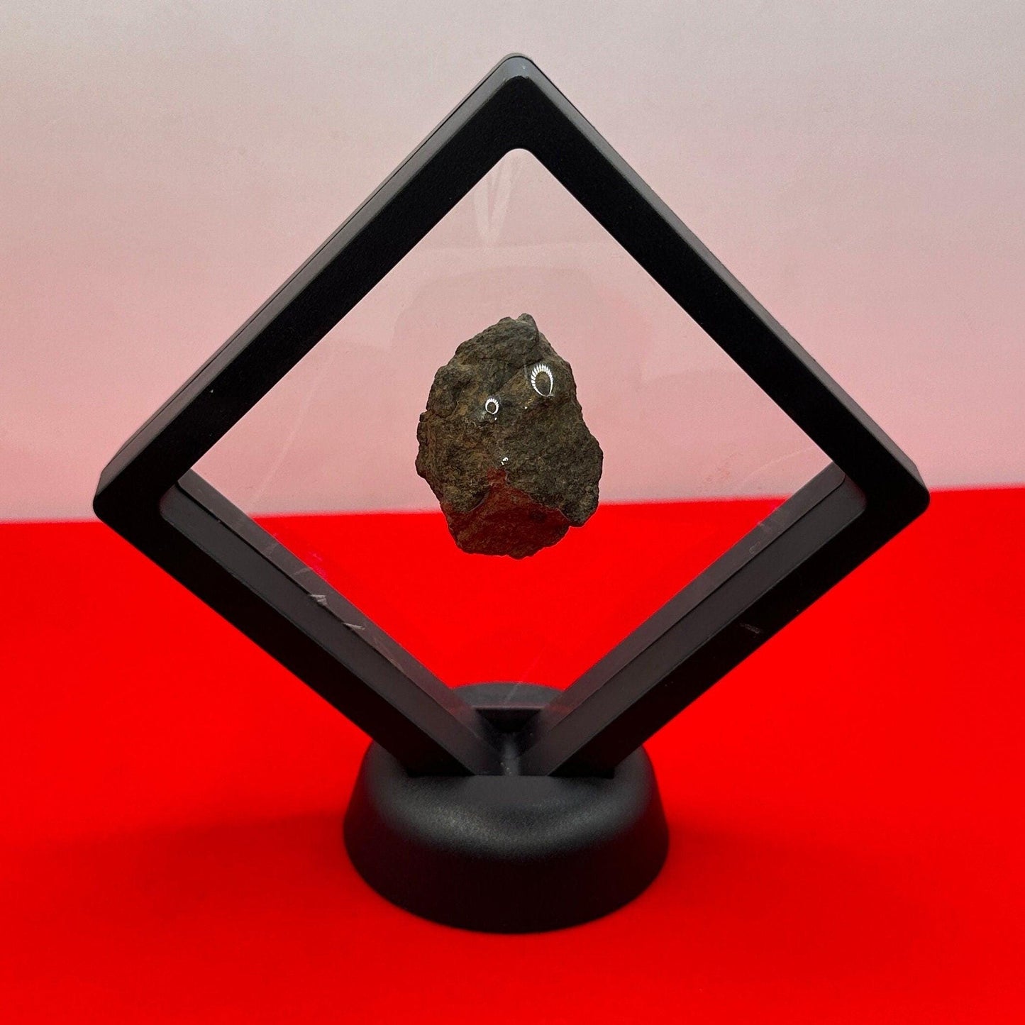 Beautiful Meteorite Al Haggounia 001 Chondrite Stony Meteorite, 32.66 grams, Astronomy Gift, Space Gift, Meteorite Collection, Morocco