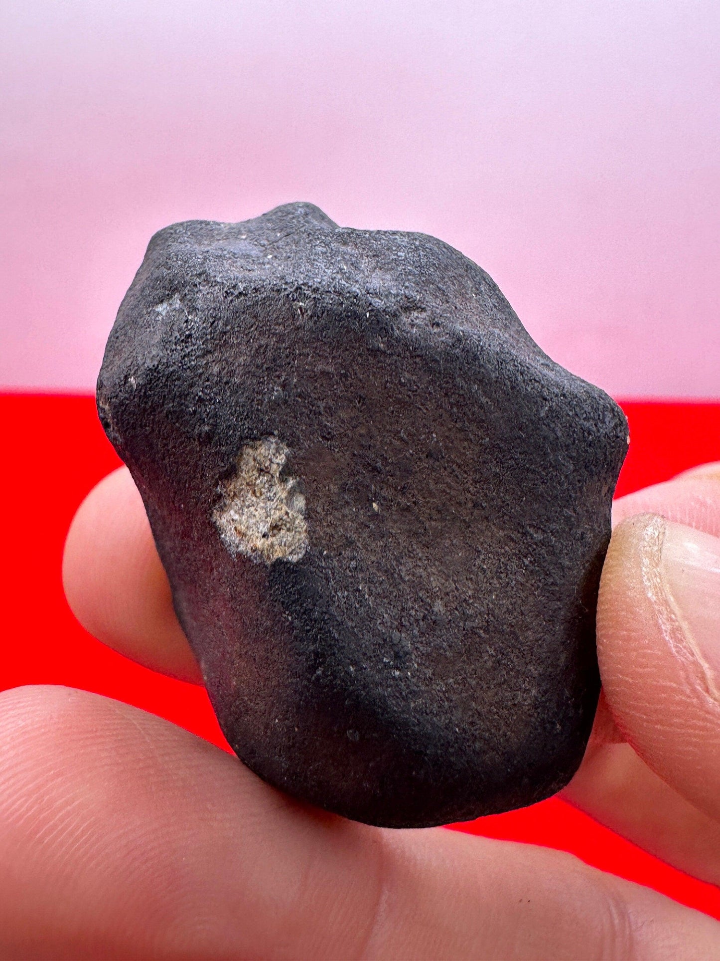 Beautiful Meteorite Vinales Chondrite, L6 Stony Meteorite, Witnessed Fall, 2019, Authentic Meteorite, Astronomy Gift, Space Gift, 34.98g