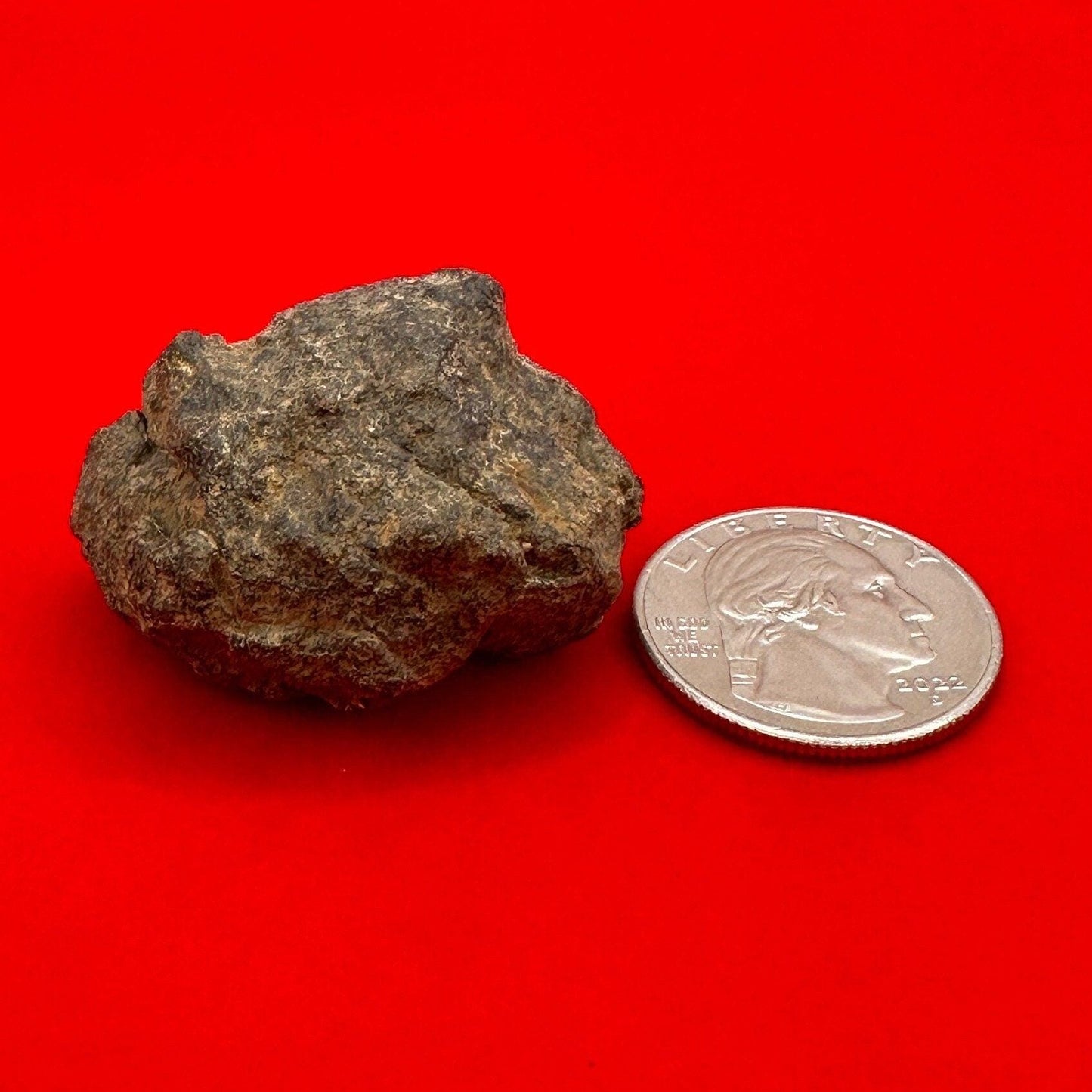 Beautiful Meteorite Al Haggounia 001 Chondrite Stony Meteorite, 32.66 grams, Astronomy Gift, Space Gift, Meteorite Collection, Morocco