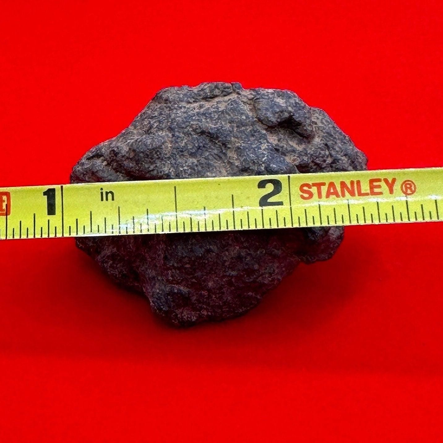 Beautiful Meteorite Al Haggounia 001 Chondrite Stony Meteorite, 32.66 grams, Astronomy Gift, Space Gift, Meteorite Collection, Morocco