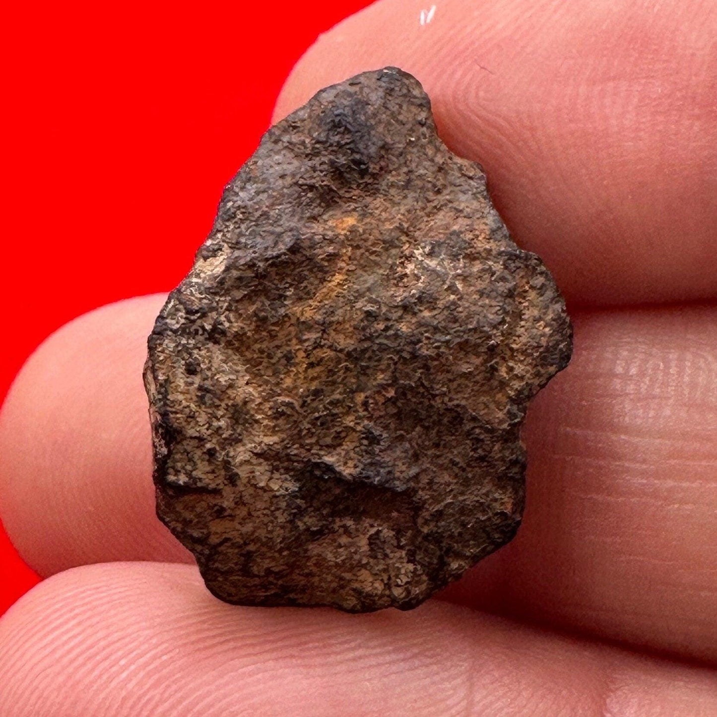 Henbury Meteorite Specimen, Australia, 9.73 grams, Rare Meteorite, Iron Meteorite, Astronomy Gift, Space Gift, Australian Meteorite