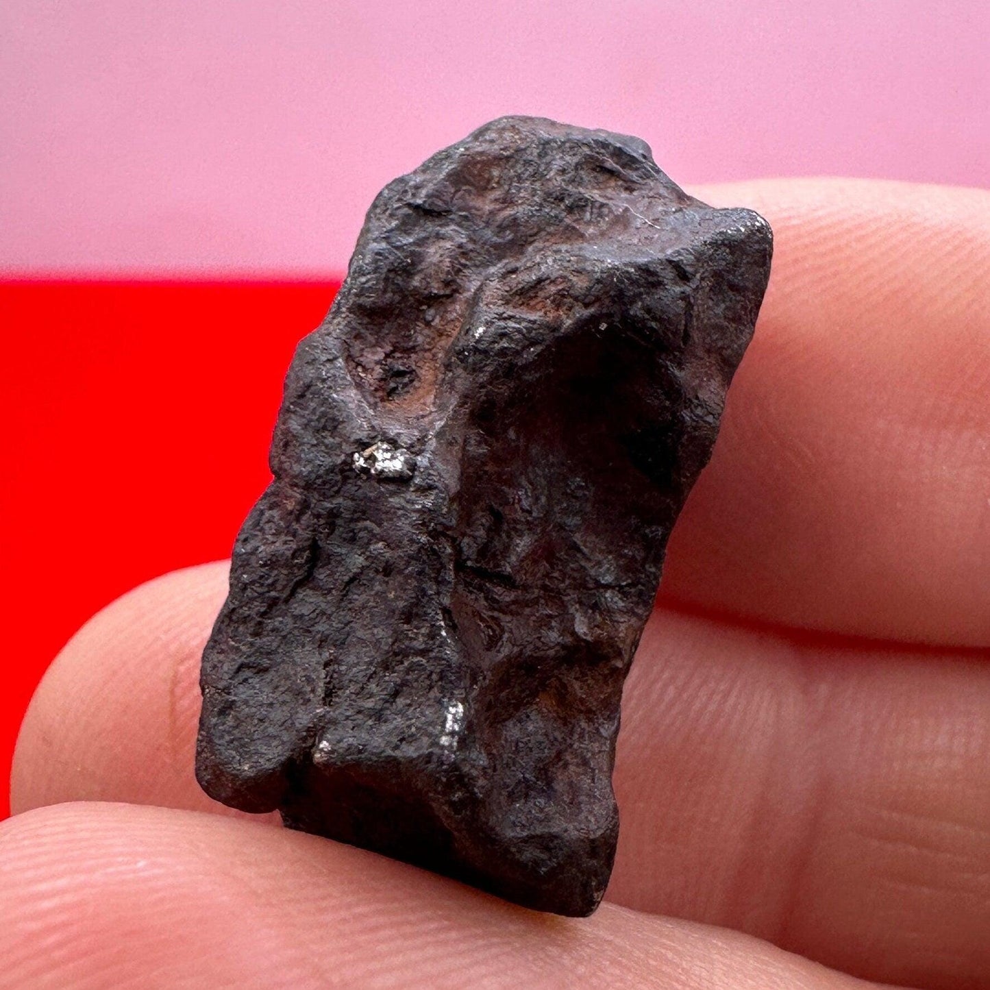 Canyon Diablo Meteorite Specimen, Arizona, 12.65 grams, Rare Meteorite, Iron Meteorite, Astronomy Gift, Space Gift, Energy Work, Meteorite