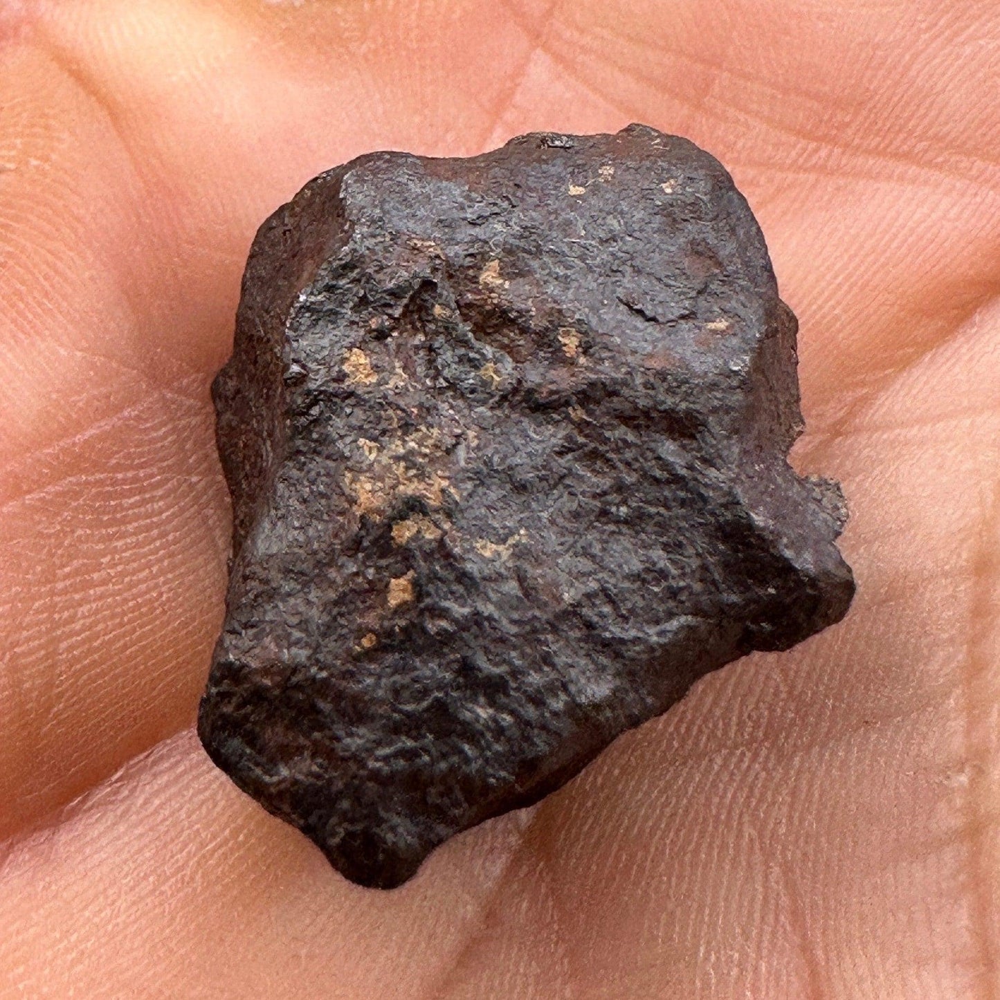 Unique Iron Meteorite Mundrabilla, 26.82 grams, Astronomy Gift, Space Gift, Iron Meteorite, Australia, Meteorite Collection, Space, COA