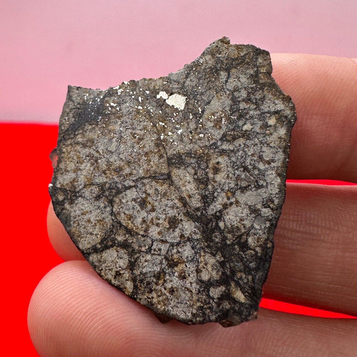 Vinales Meteorite Slice, Vinales, L6 Chondrite, Wintessed Fall, Chondrules, Meteorite Collection, Chondrite, Astronomy Gift, 6.86 grams