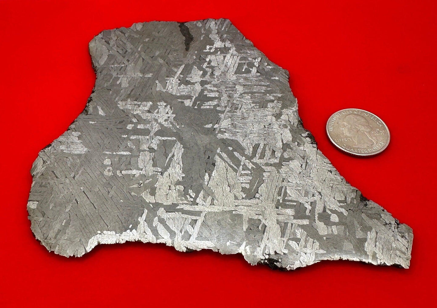 Toluca Etched Slice, Polished Meteorite Slice, Astronomy Gift, Toluca, Space Gift, Iron Meteorite, Mexico, Meteorite Collection, 235.32g