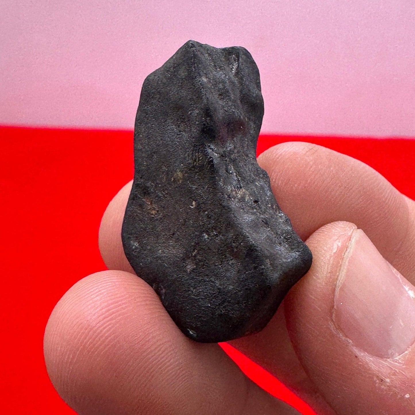 Beautiful Meteorite Chelyabinsk Russia Chondrite Stony Meteorite, 9.87 grams, Youtube Sensation!!! 2013, Astronomy Gift, Space Gift