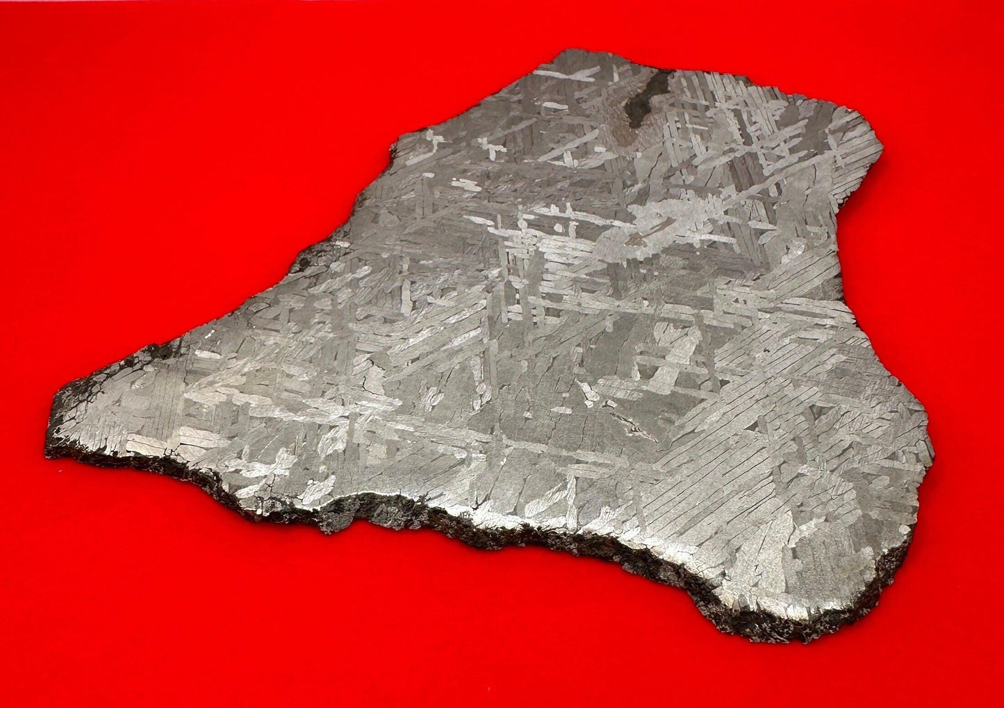 Toluca Etched Slice, Polished Meteorite Slice, Astronomy Gift, Toluca, Space Gift, Iron Meteorite, Mexico, Meteorite Collection, 235.32g